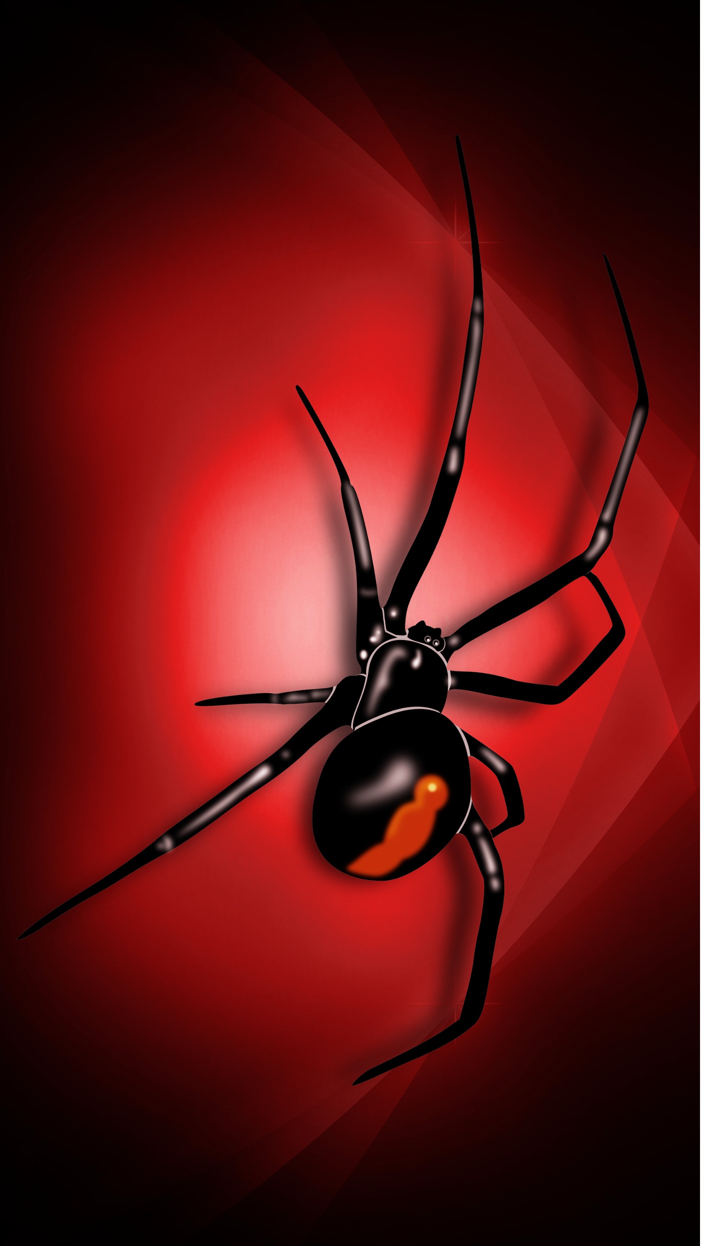 Cool Spider Wallpapers Wallpapers