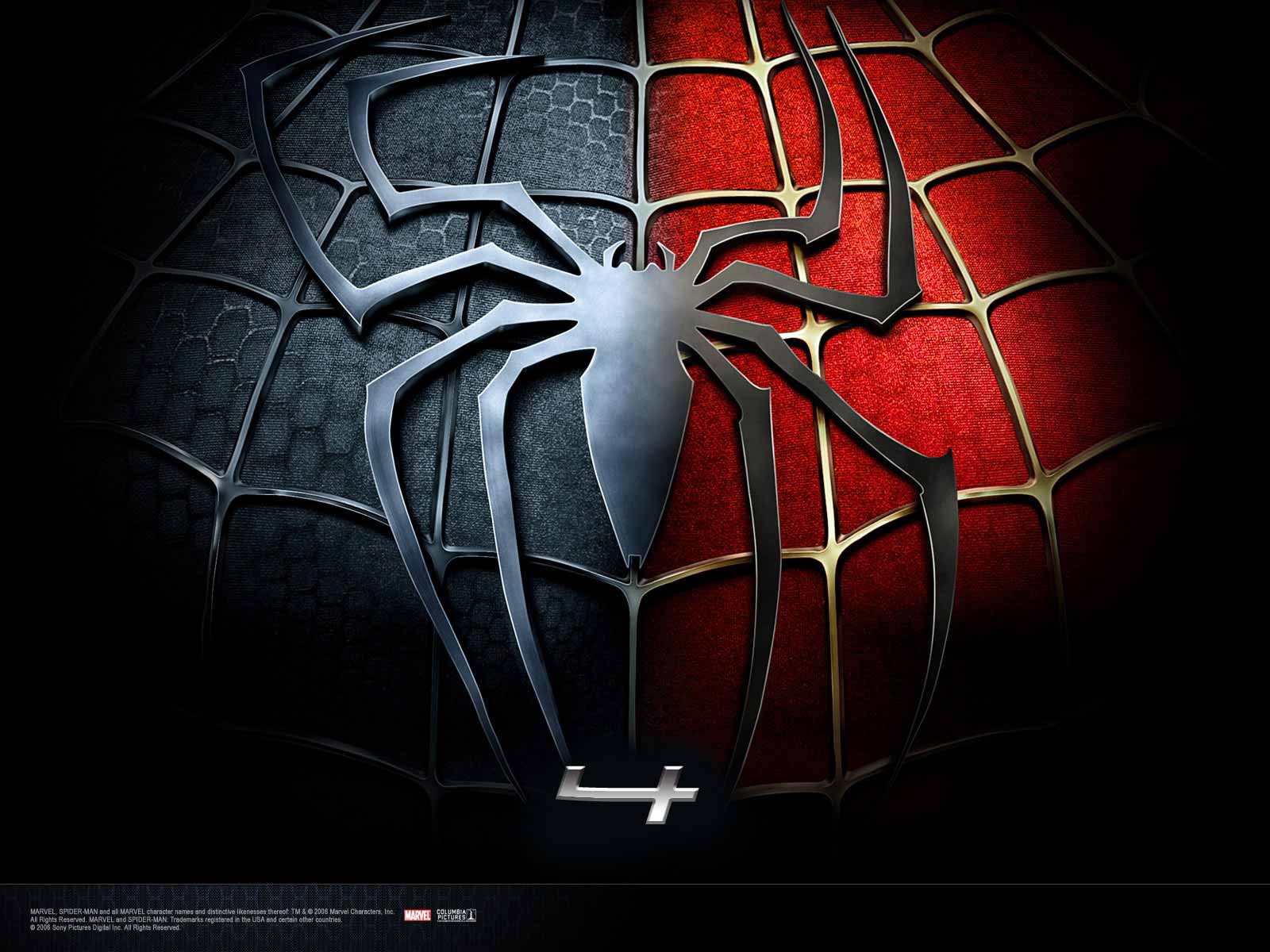 Cool Spider Wallpapers Wallpapers