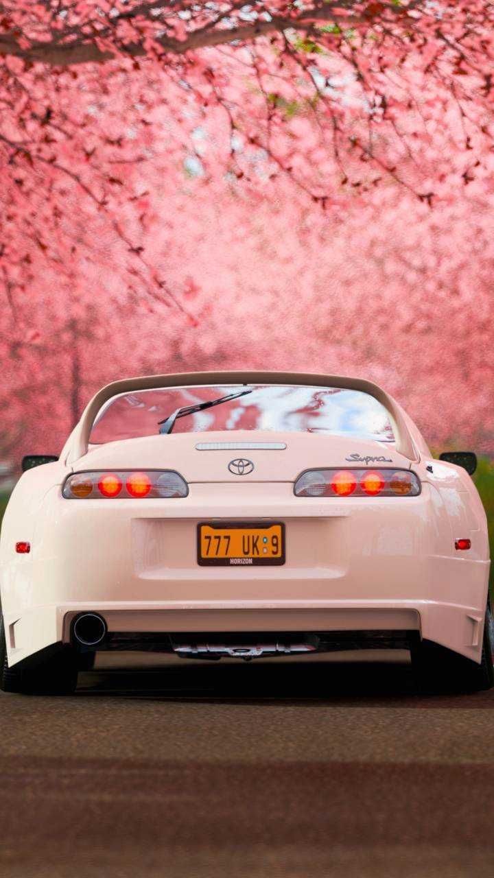 Cool Supra Wallpapers