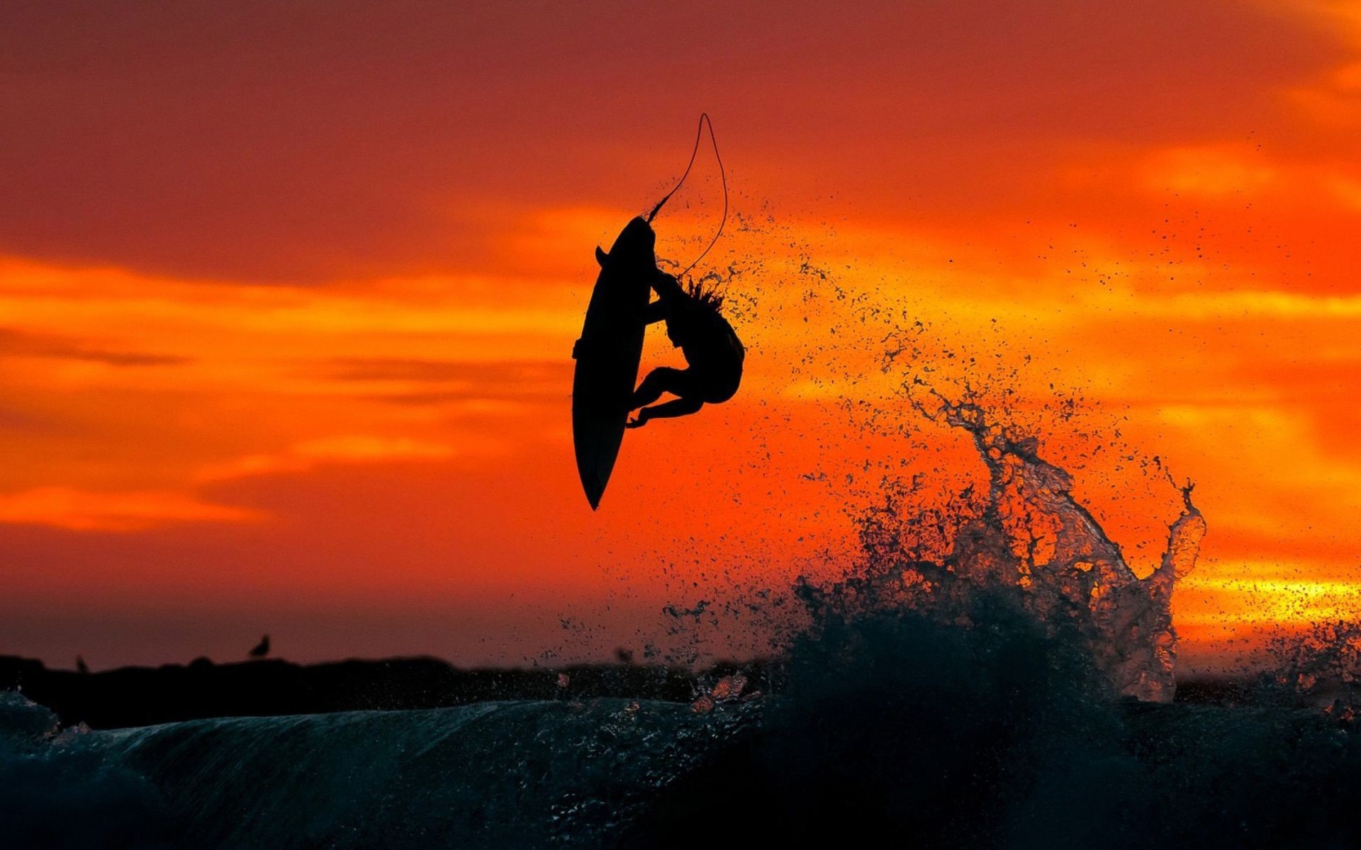 Cool Surfing Wallpapers