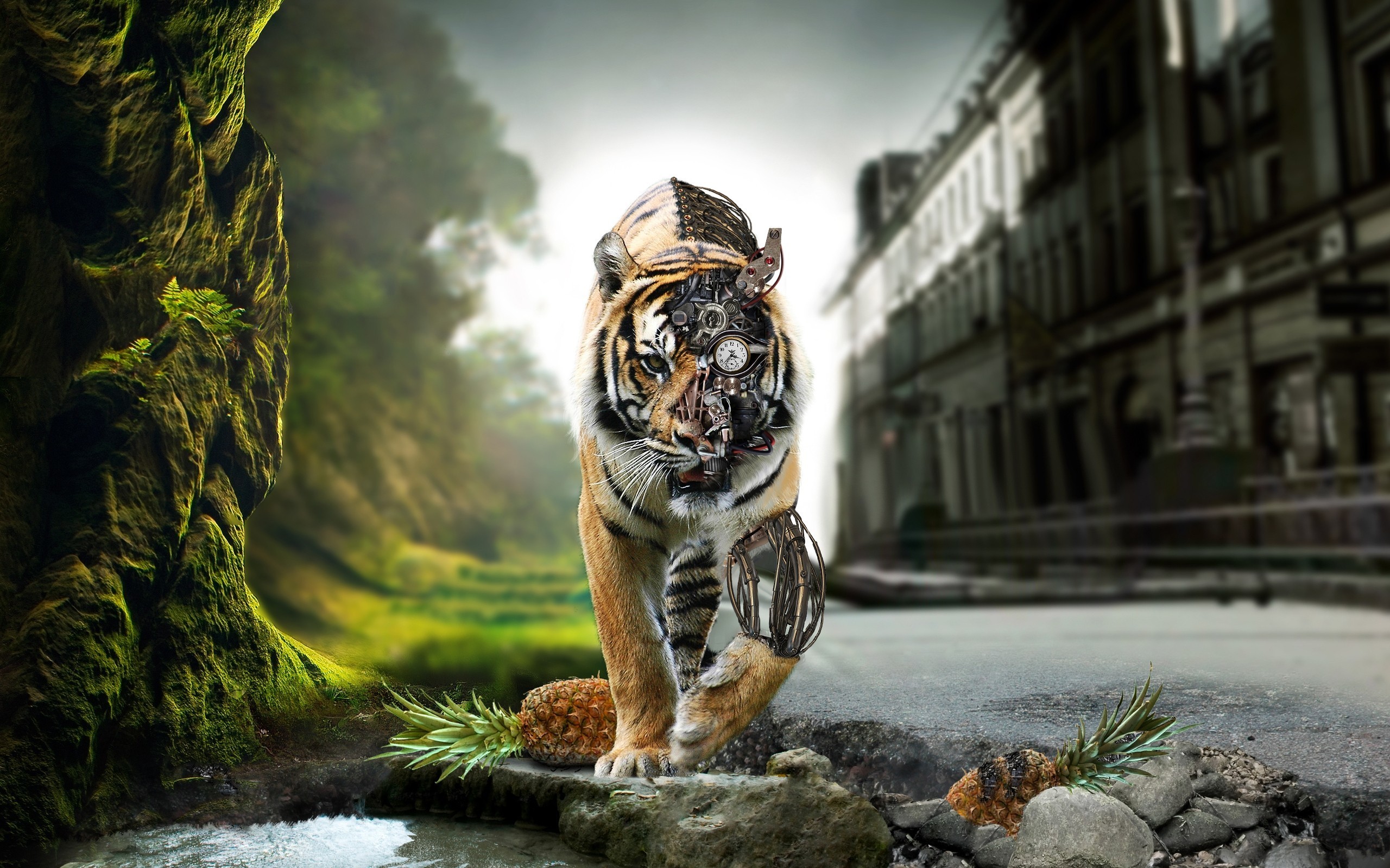 Cool Tiger Wallpapers Wallpapers