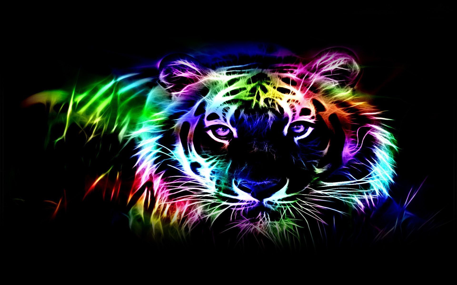 Cool Tiger Wallpapers Wallpapers