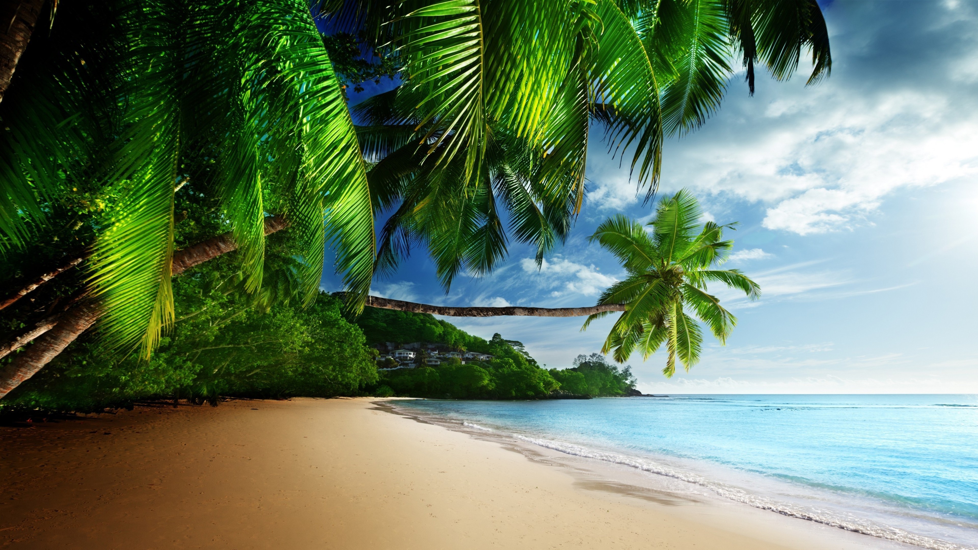 Cool Tropical Hd Computer Wallpapers