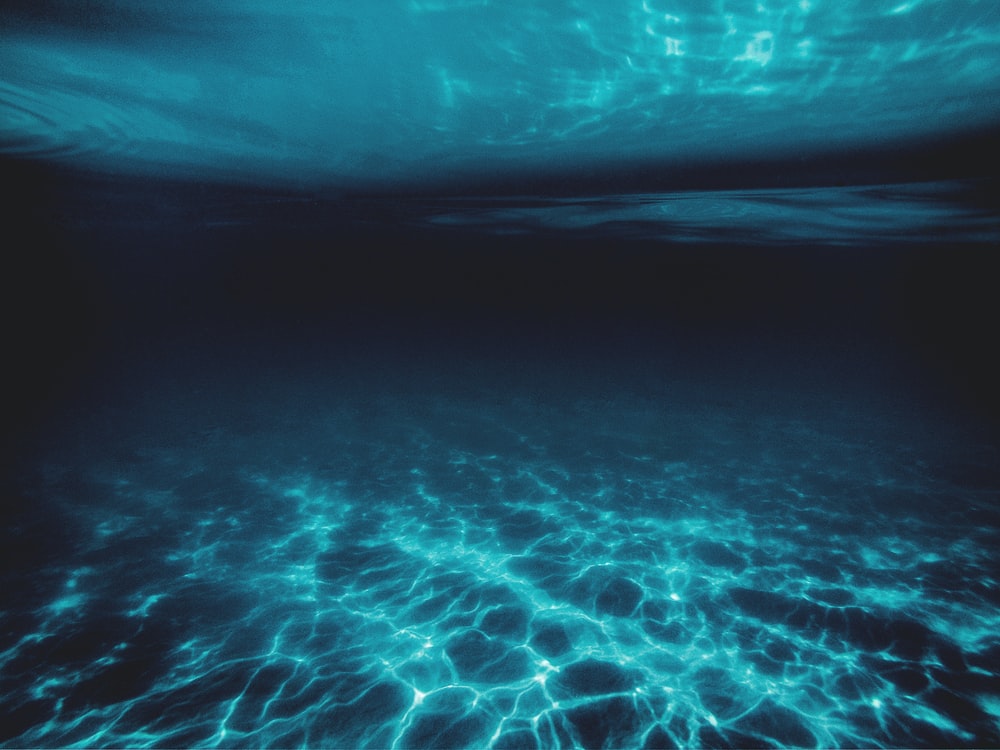 Cool Underwater Wallpapers