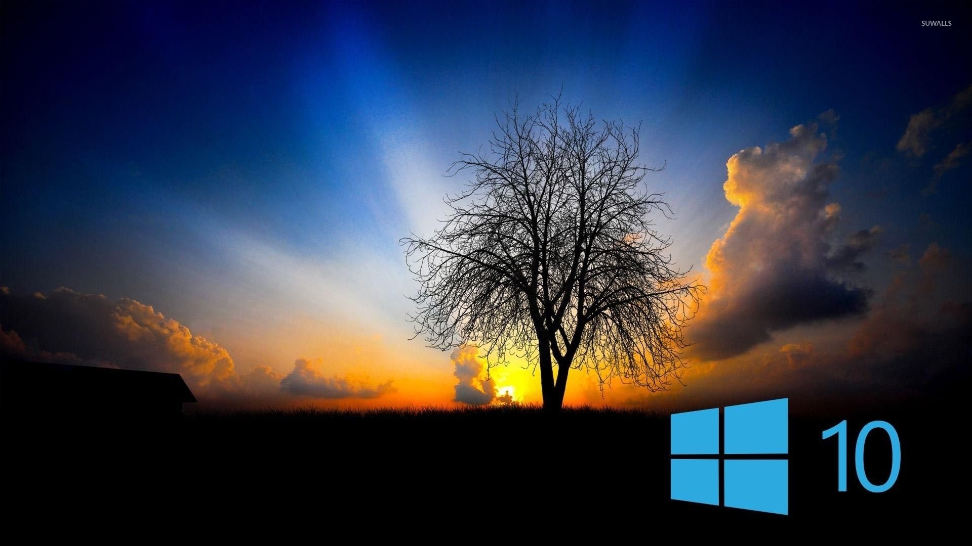 Cool Windows Wallpapers