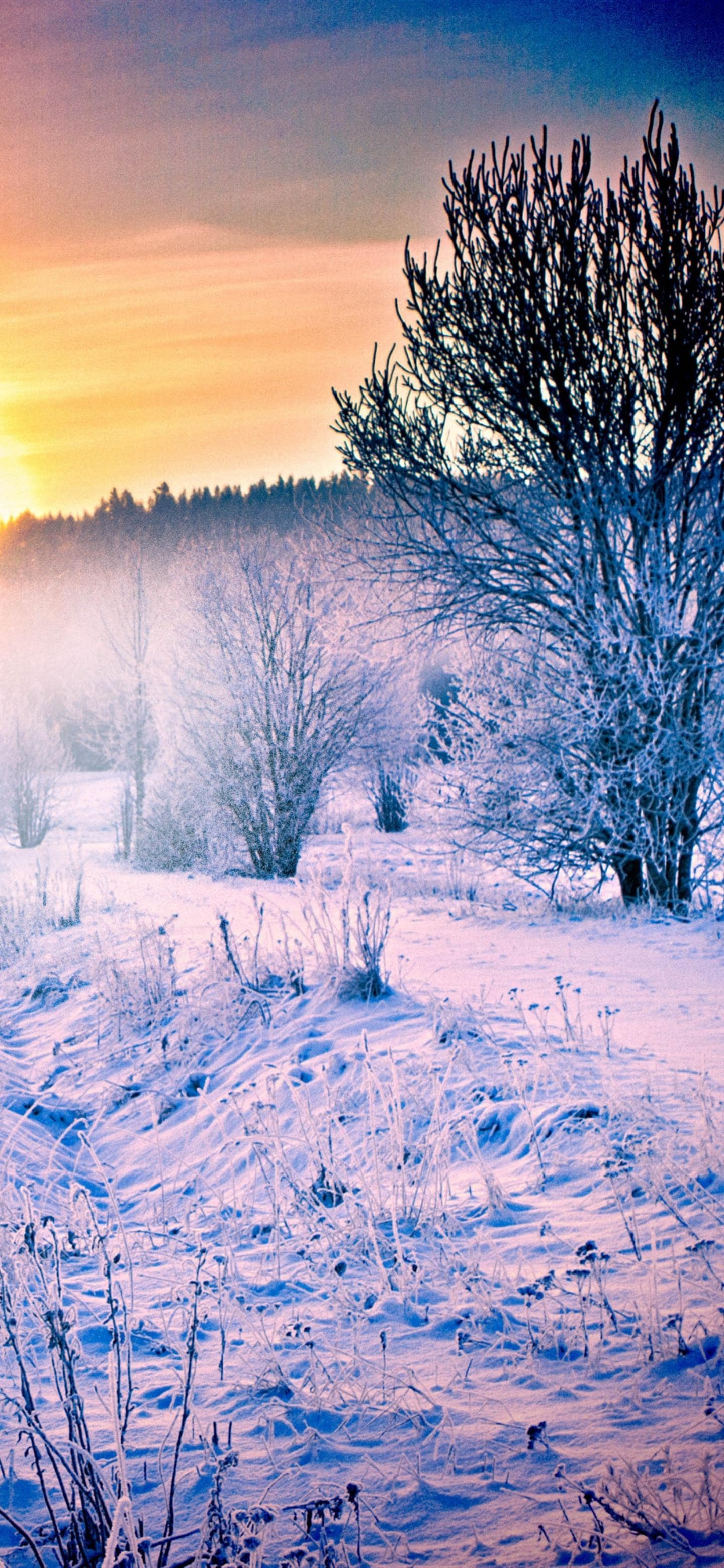 Cool Winter Wallpapers