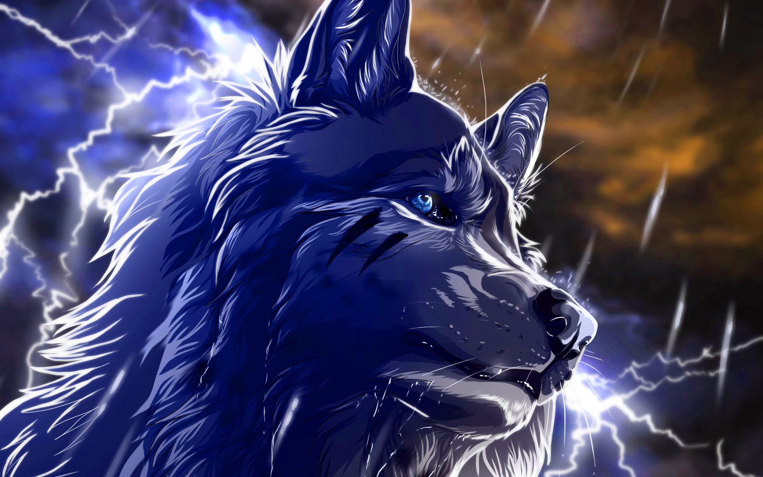 Cool Wolf Wallpaper Wallpapers