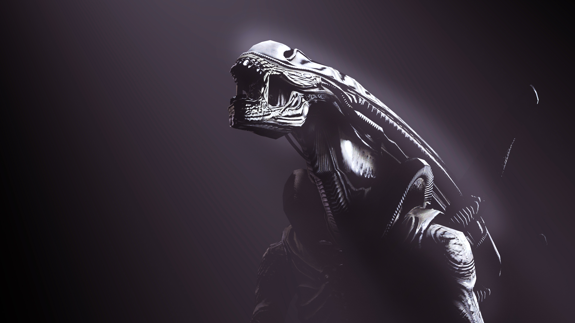 Cool Xenomorph Wallpapers