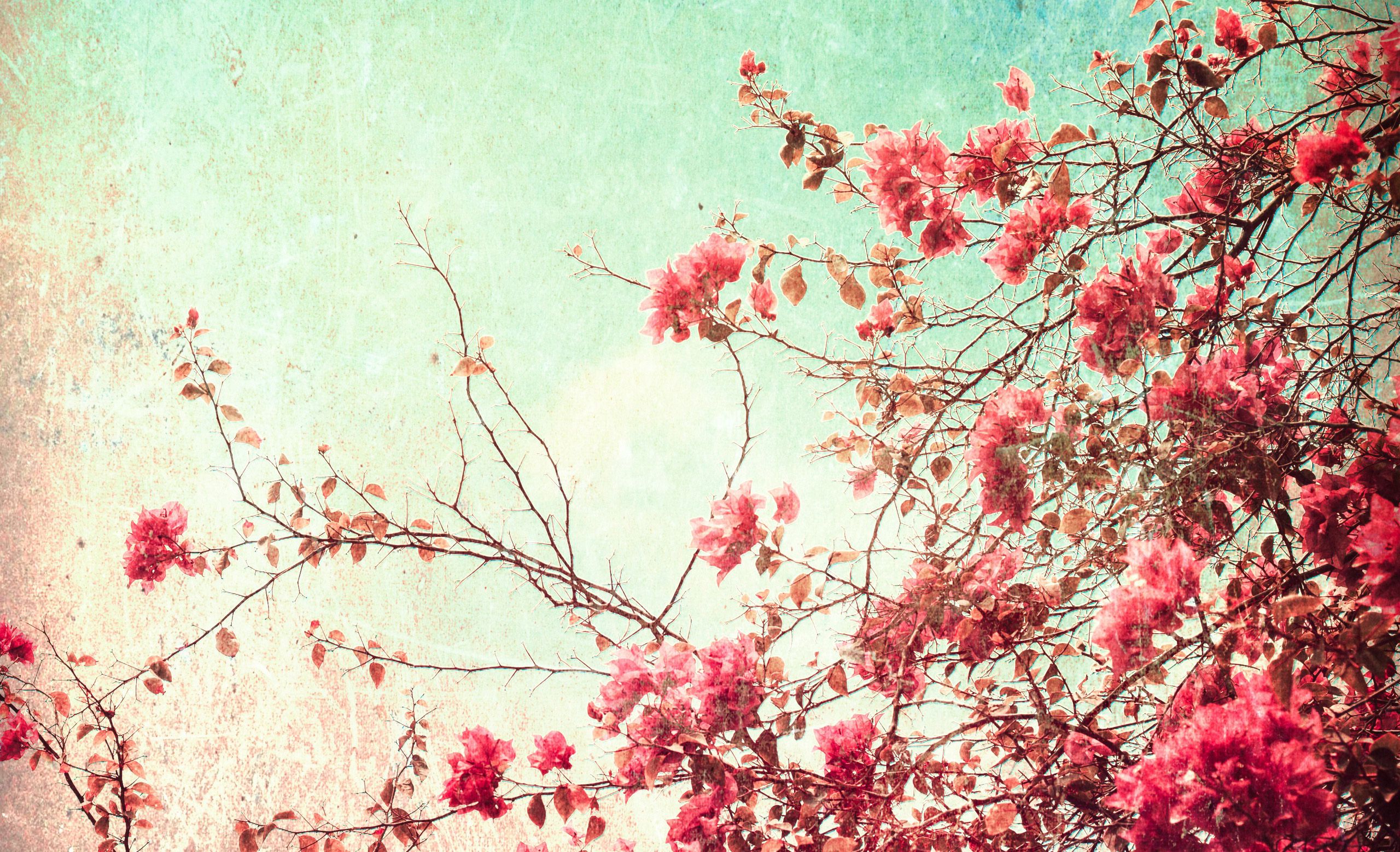 Vintage Spring Backgrounds