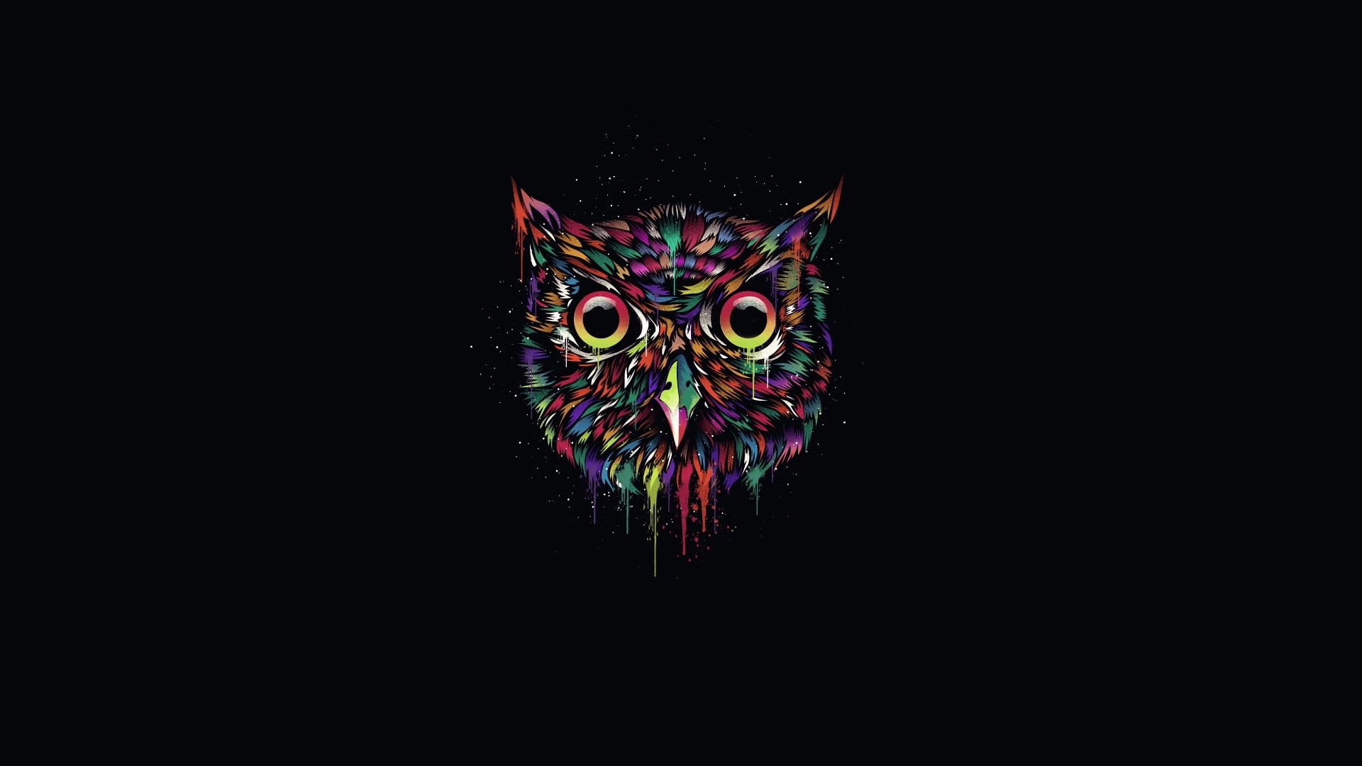 1200 X 900 Colorful Owl Wallpapers