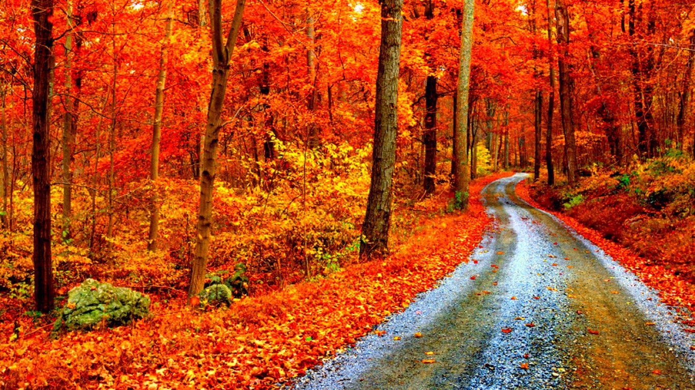 1366 X 768 Fall Wallpapers