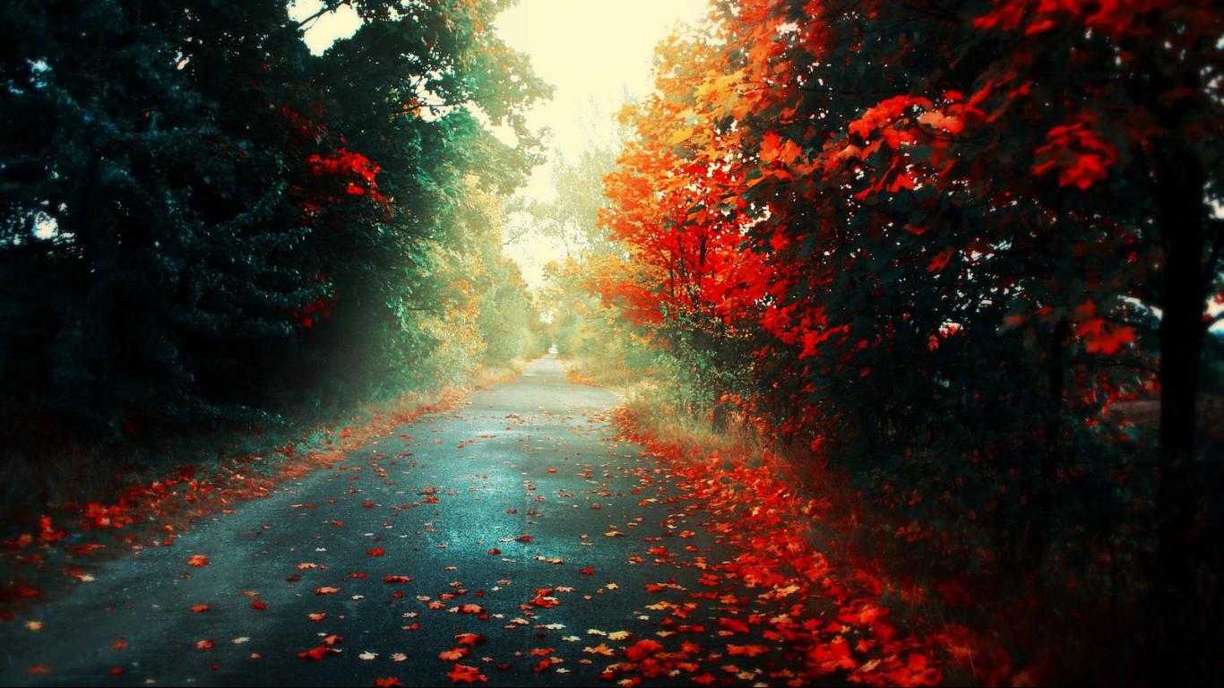 1366 X 768 Fall Wallpapers