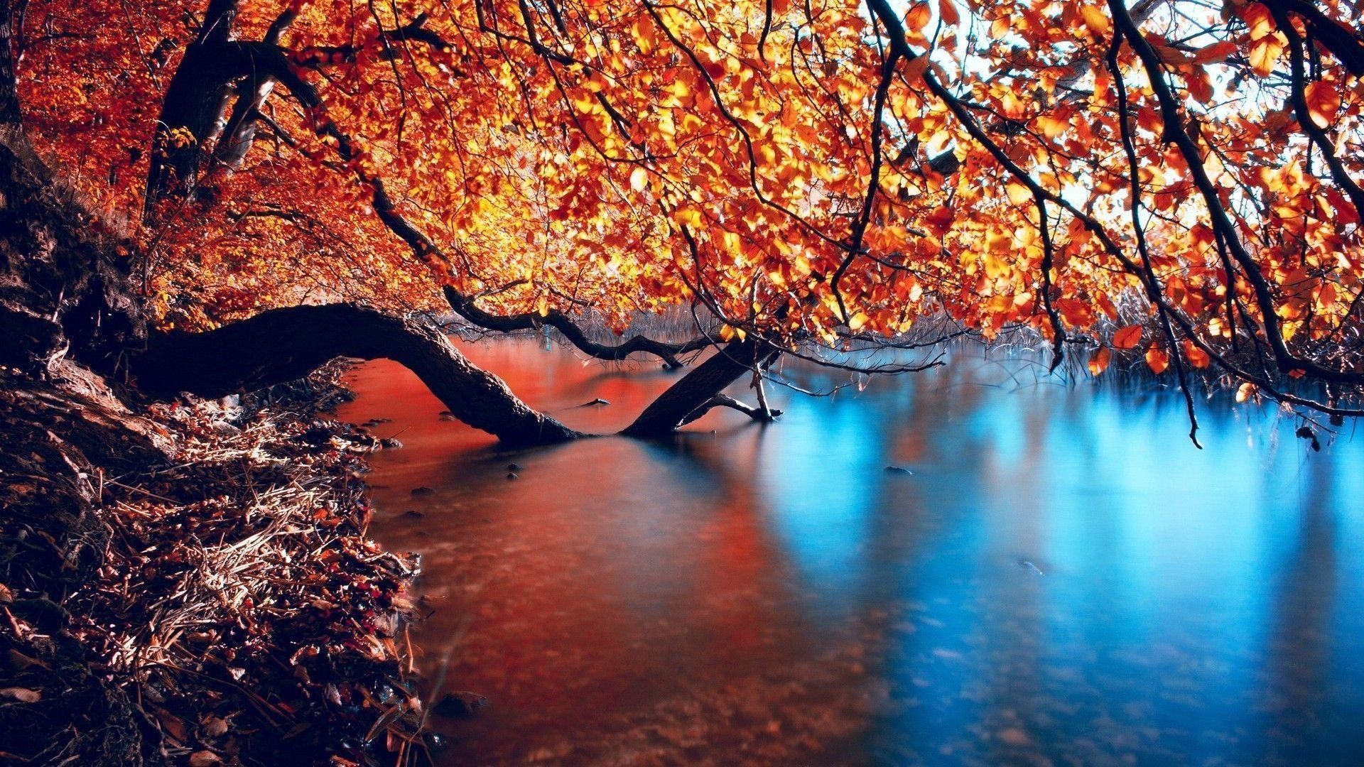 1920X1080 Fall Wallpapers