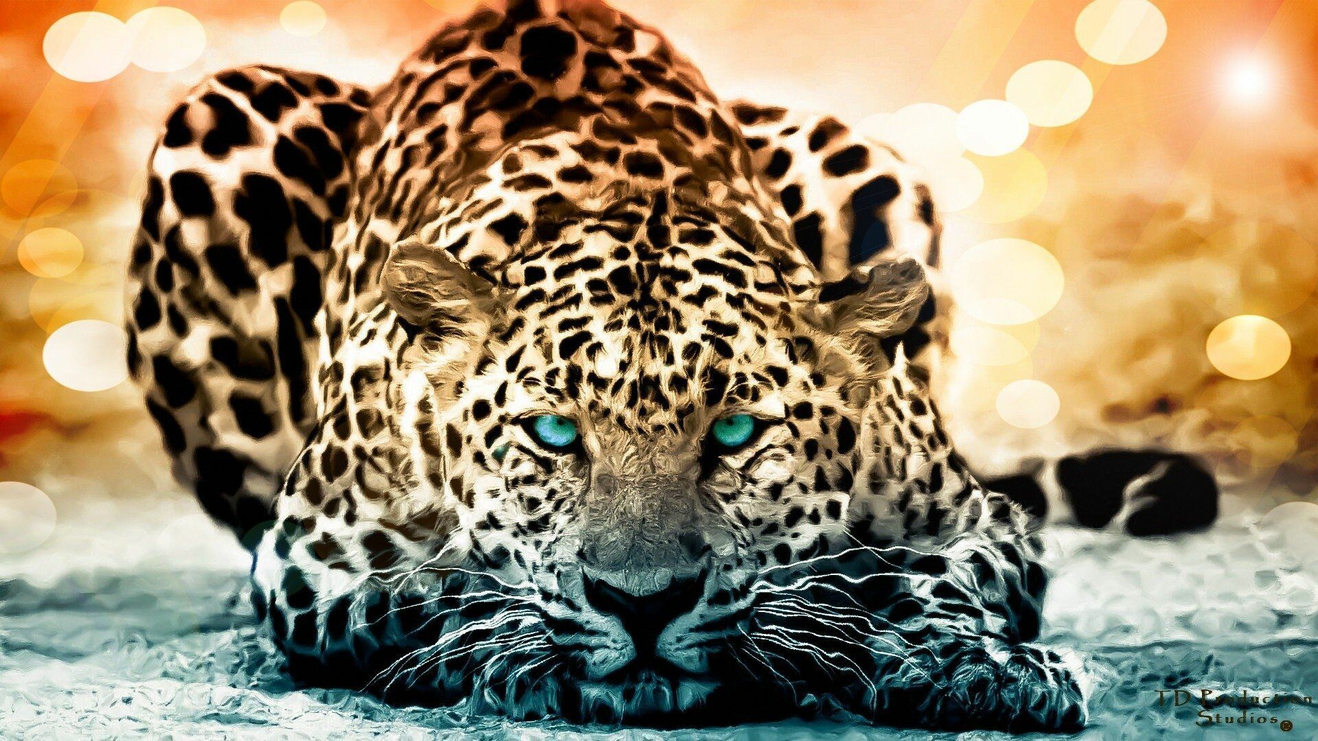 1920X1080 Hd Animals Wallpapers