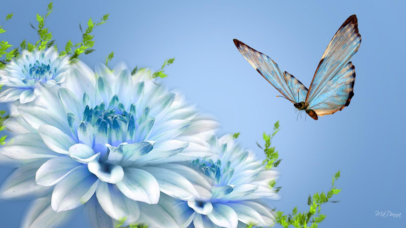 1920X1080 Hd Flower Wallpapers