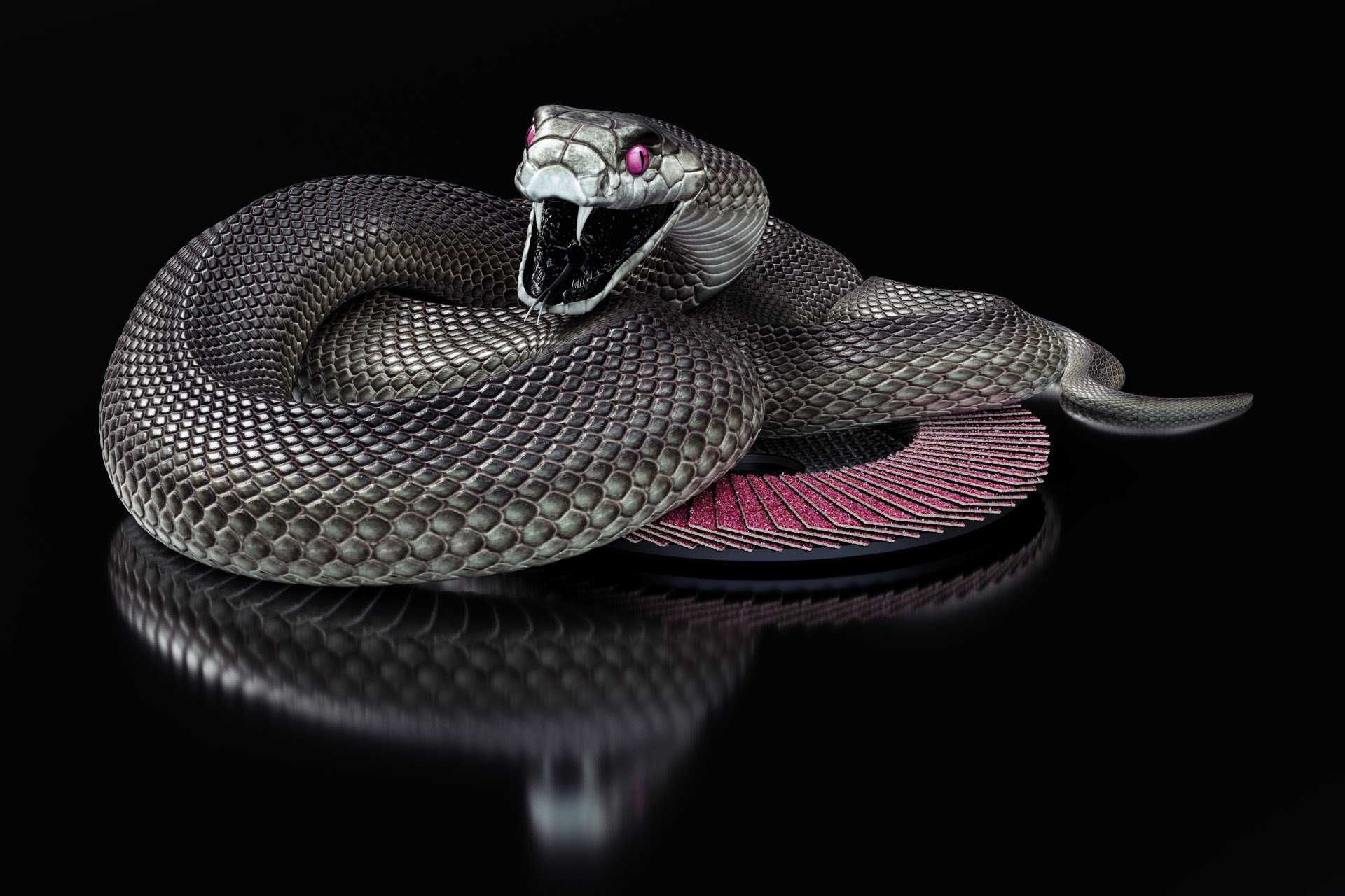 1920X1080 Hd Snake Wallpapers