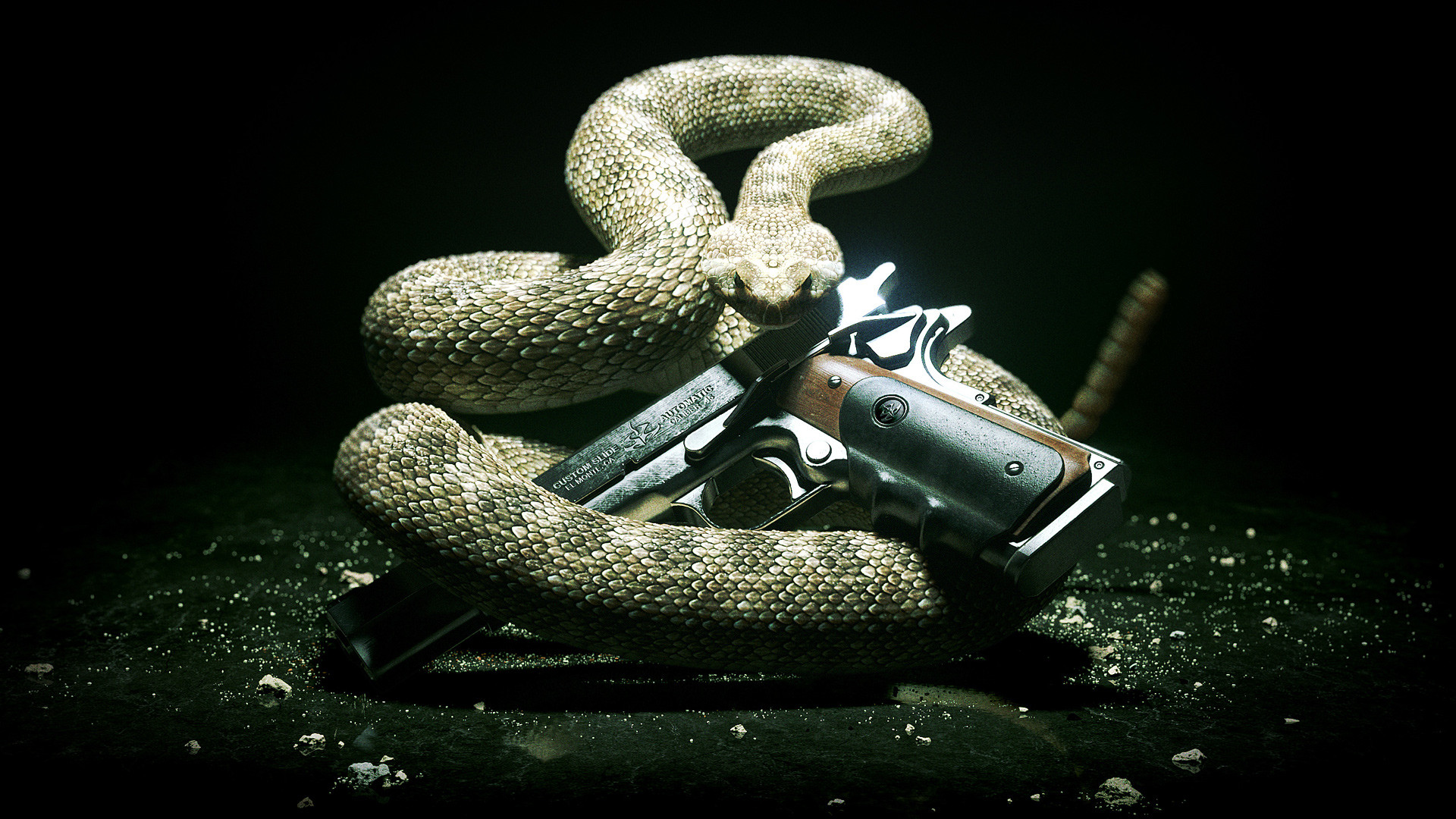 1920X1080 Hd Snake Wallpapers