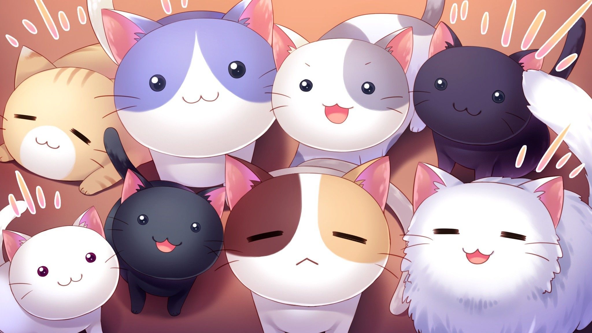 2048 X 1152 Cute Wallpapers