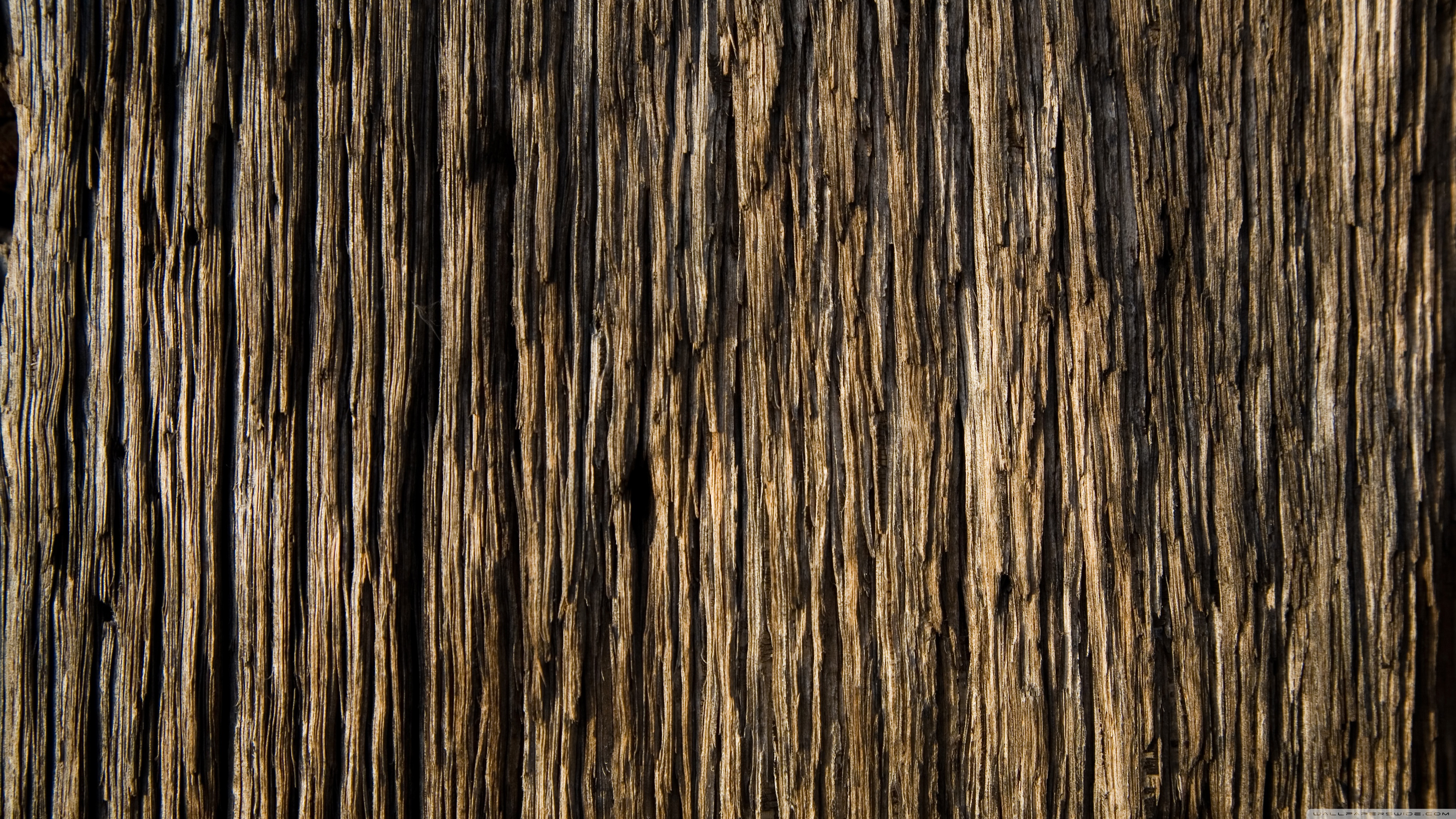 3840 X 2160 Wood Wallpapers