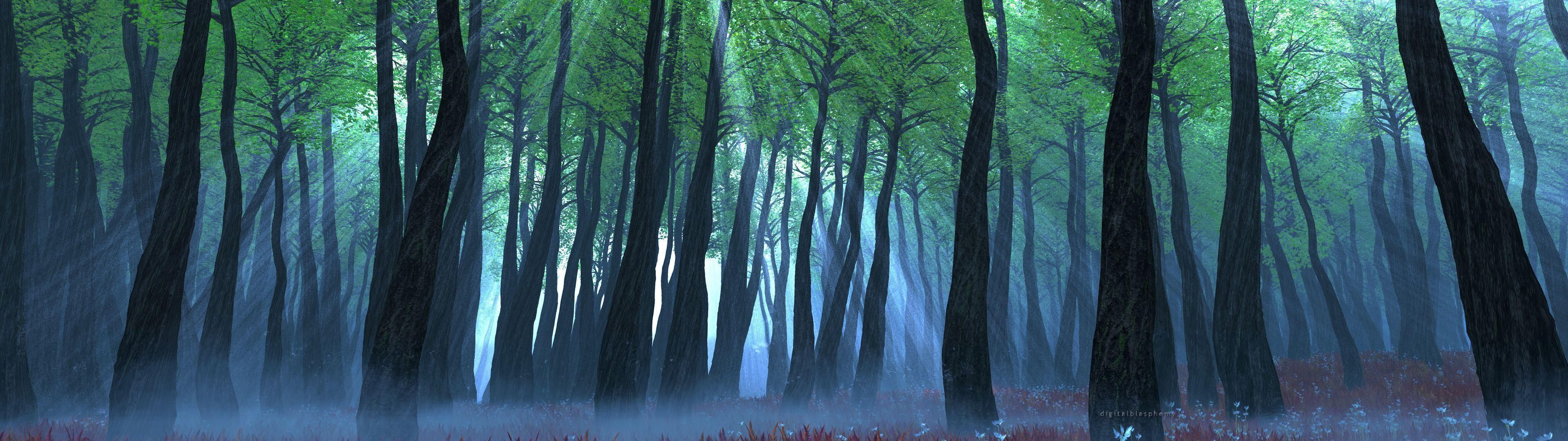 3840X1080 Forest Wallpapers