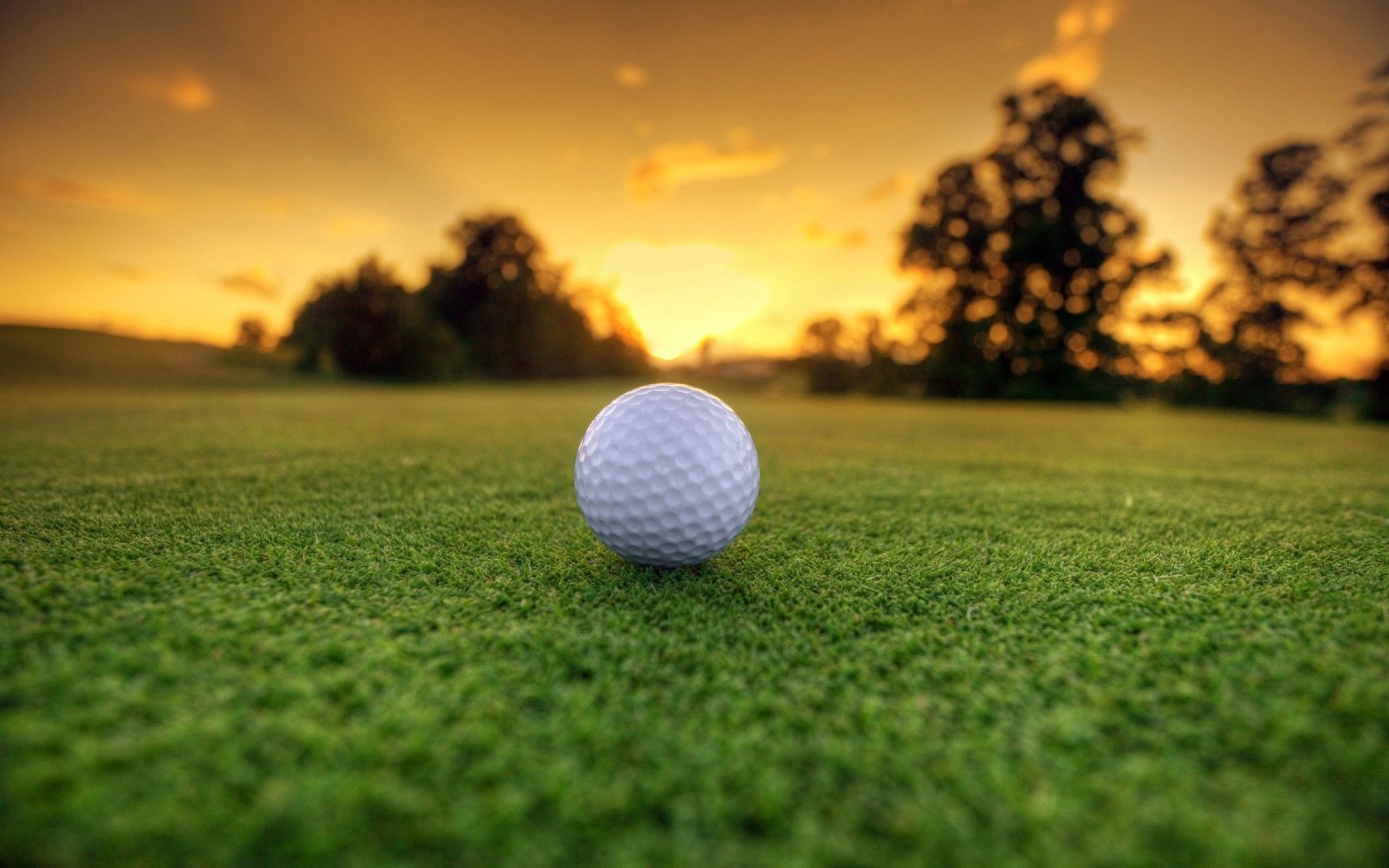 4K Golf Wallpapers