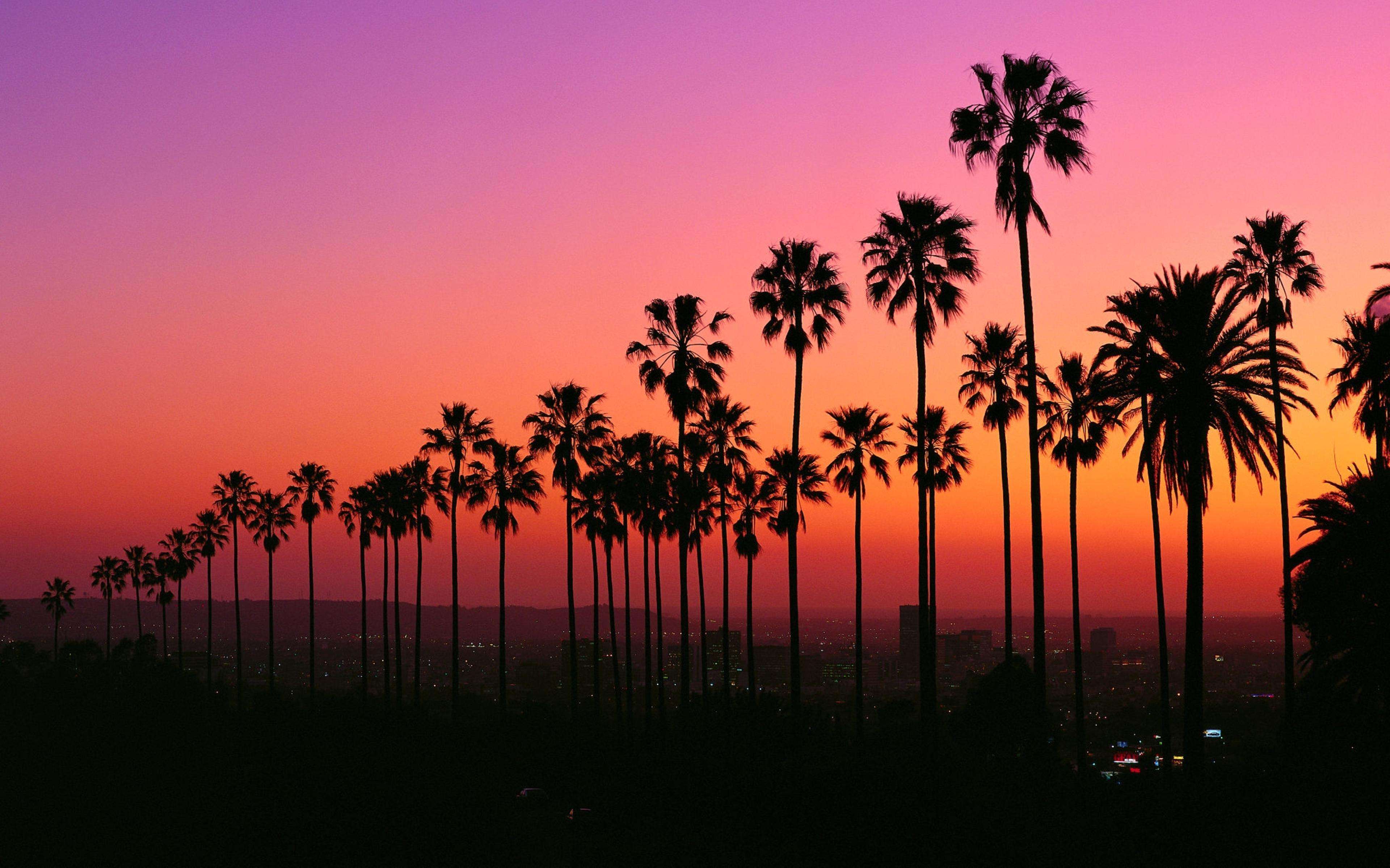 4K Los Angeles Sunset Wallpapers