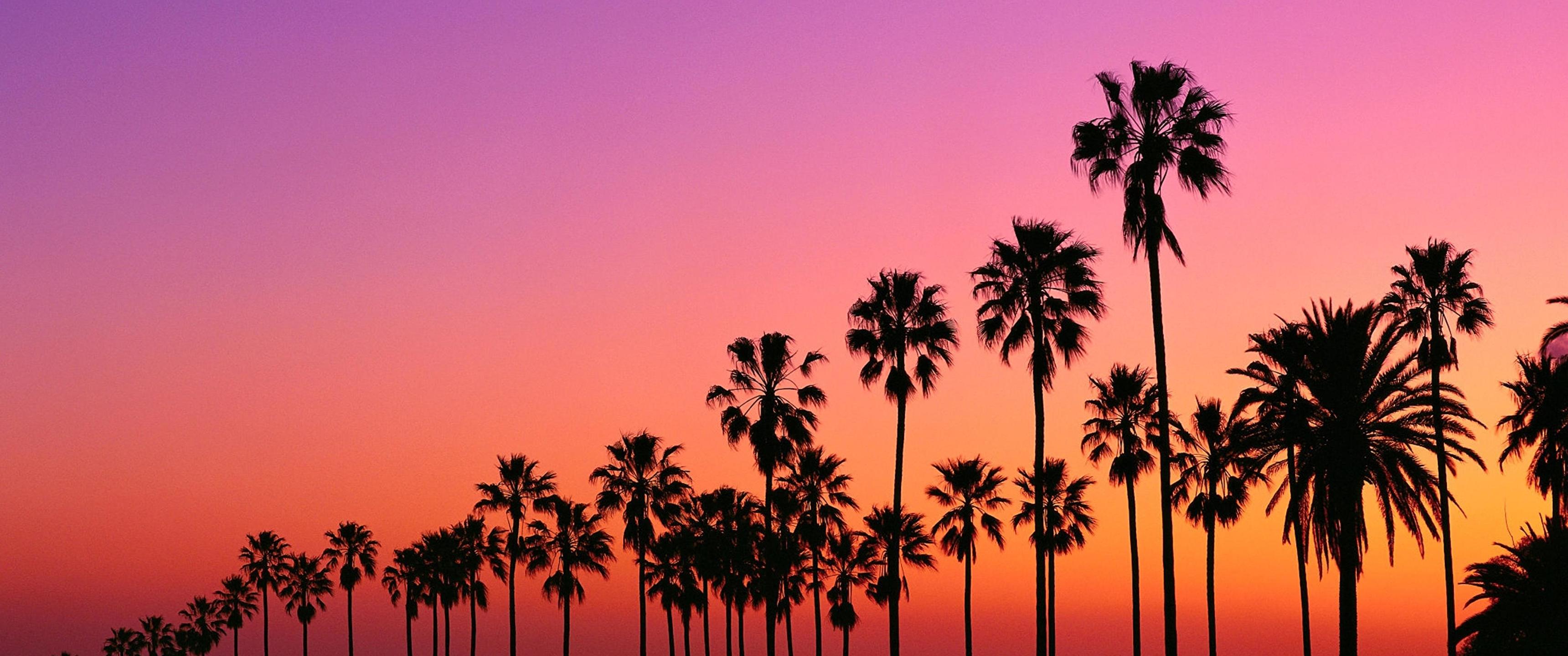 4K Los Angeles Sunset Wallpapers