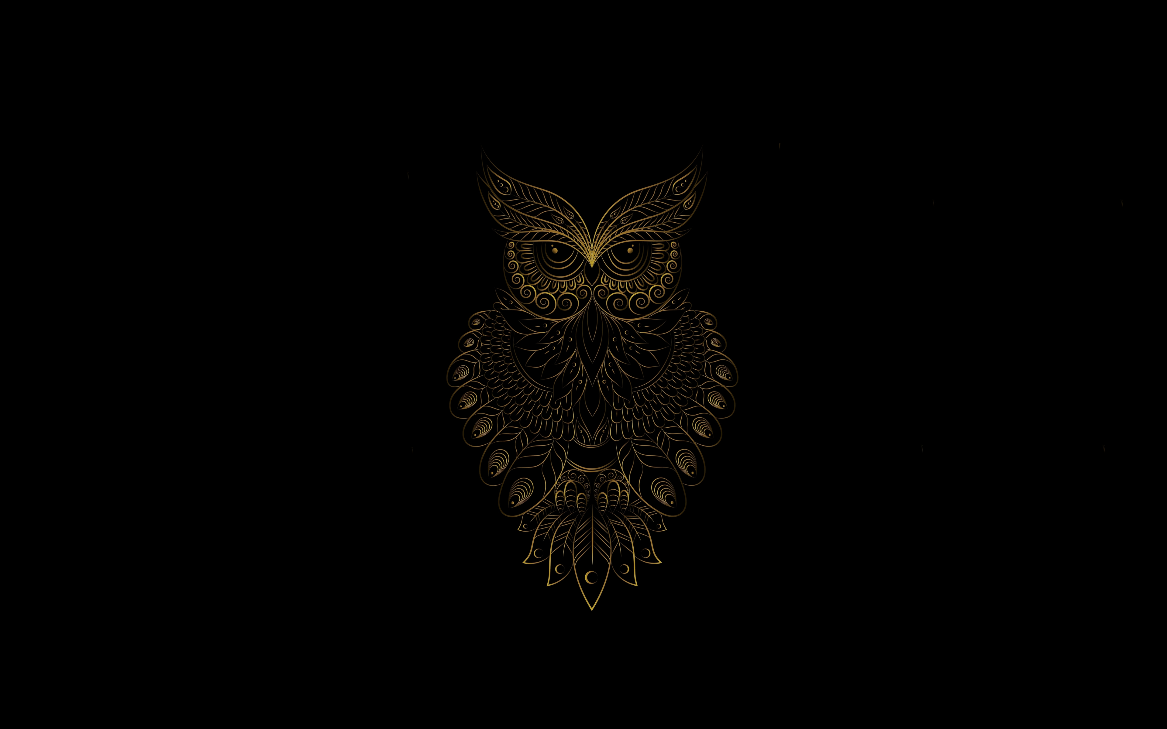 4K Owl Wallpapers