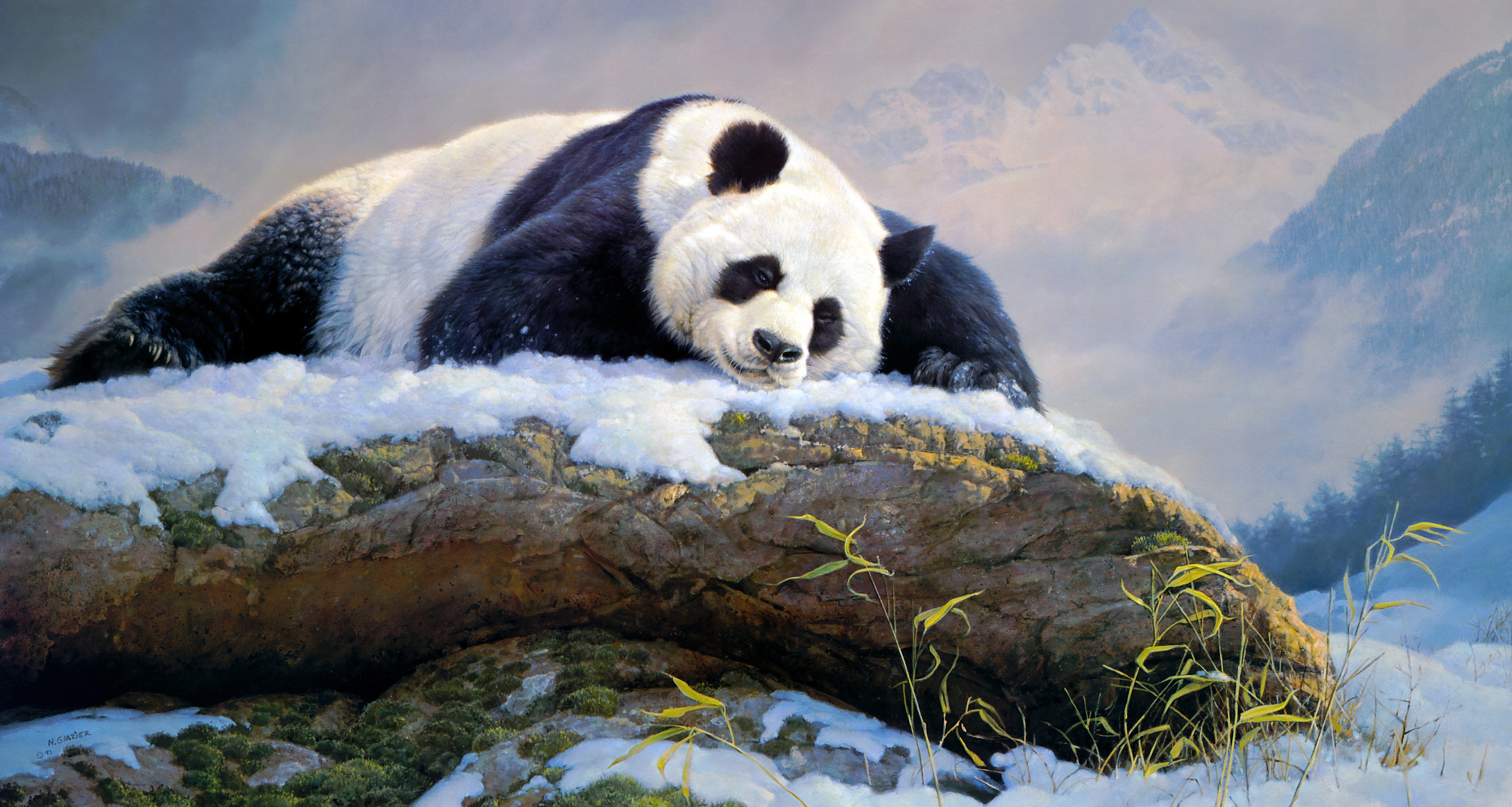 4K Panda Wallpapers