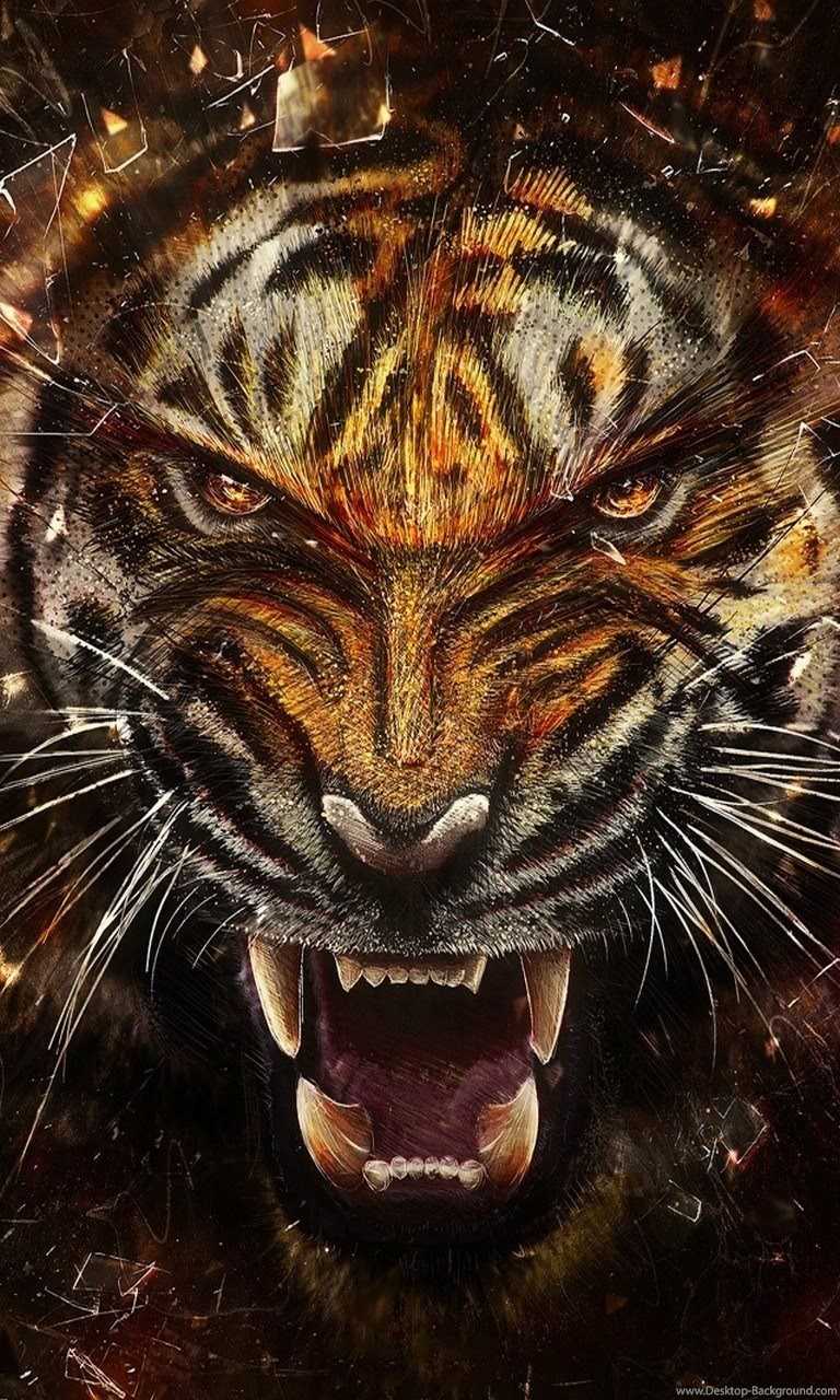 4K Tiger Wallpapers