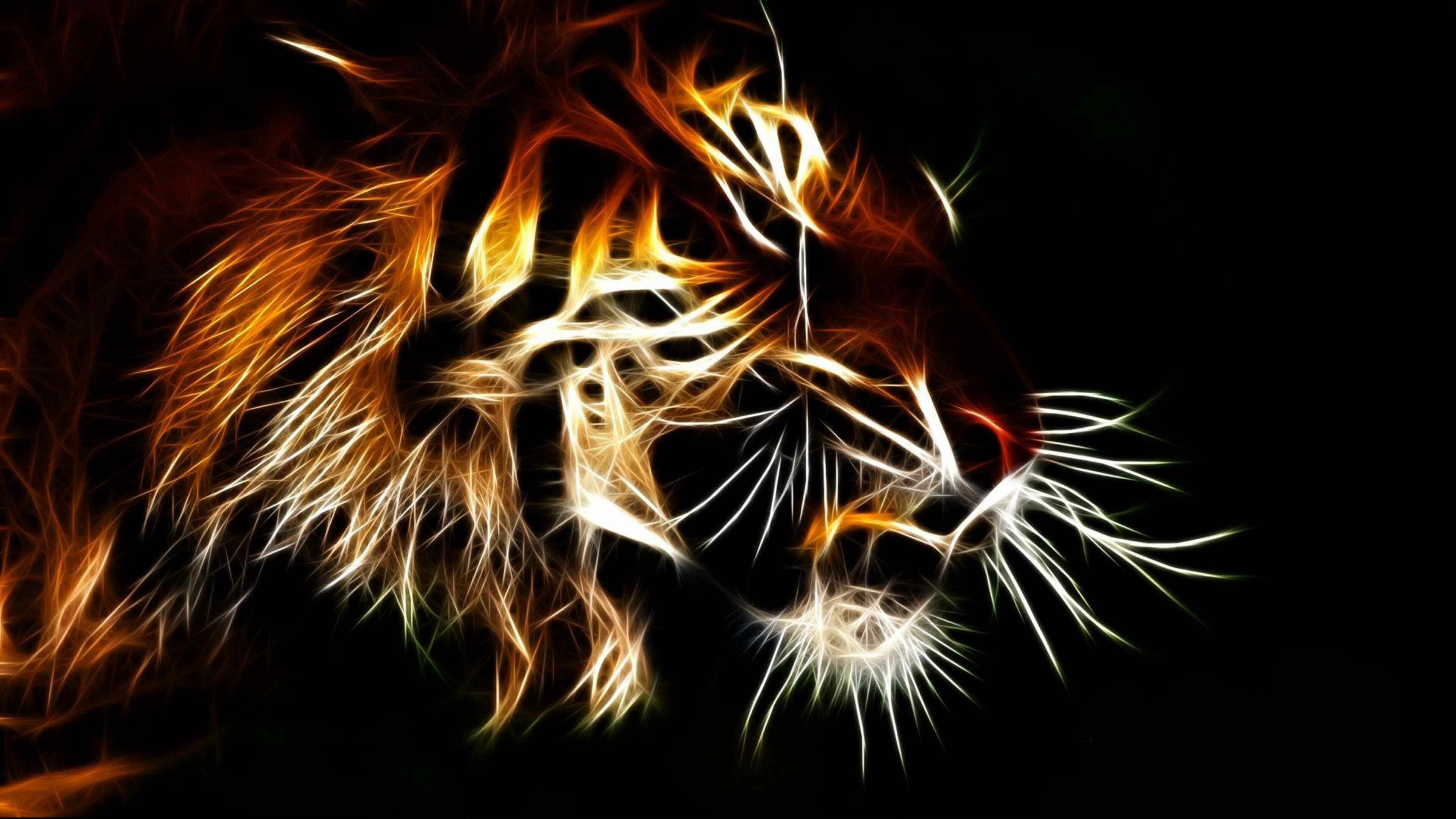 4K Tiger Wallpapers