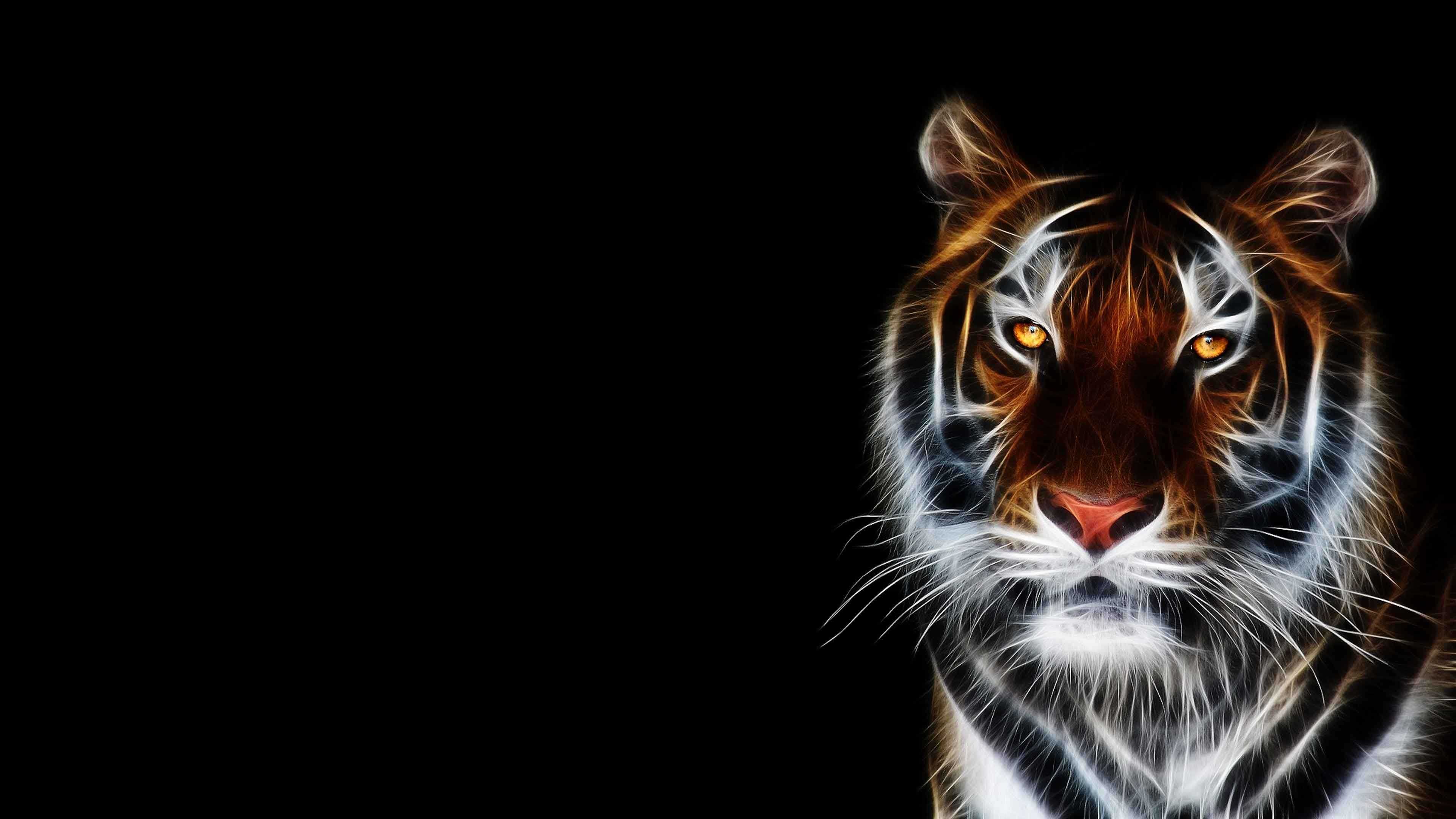 4K Tiger Wallpapers