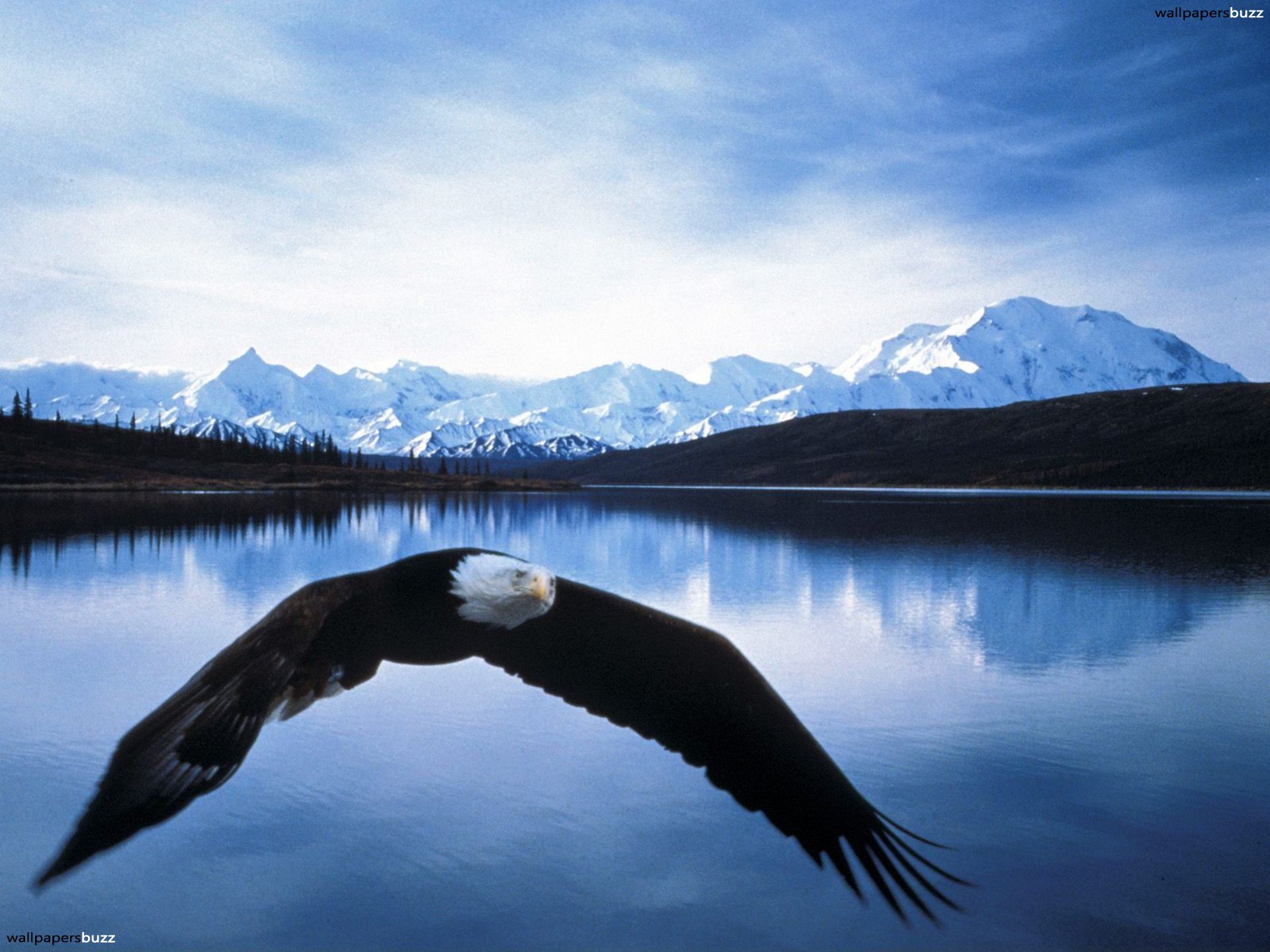 4K Ultra Hd Alaska Wallpapers