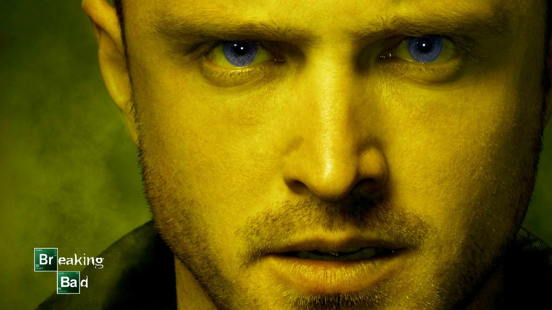 Aaron Paul Pics Wallpapers