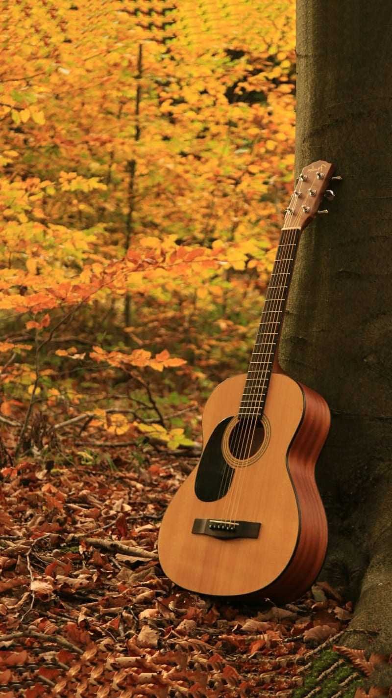 Accoustic Guitar Wallpapers