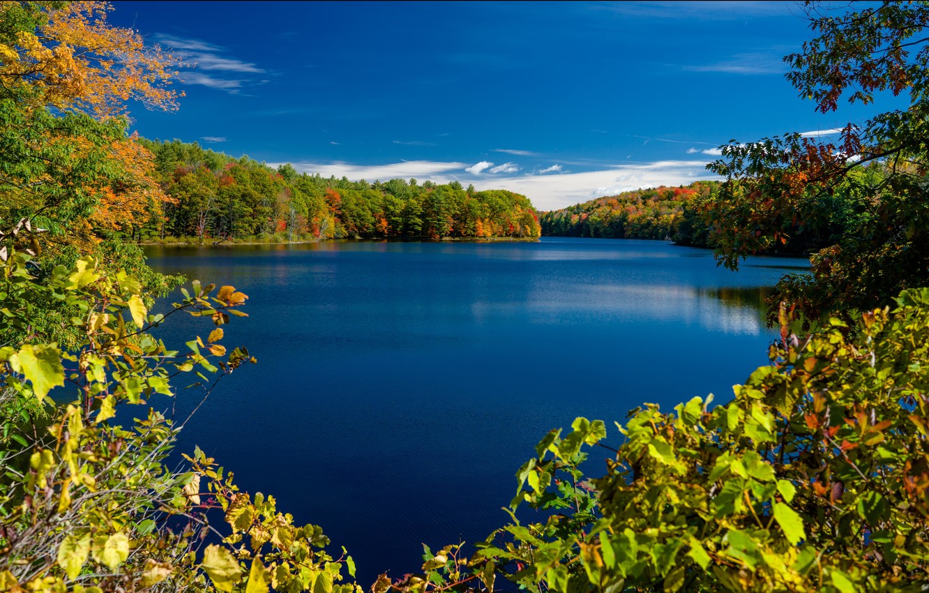 Adirondack Wall Paper Wallpapers