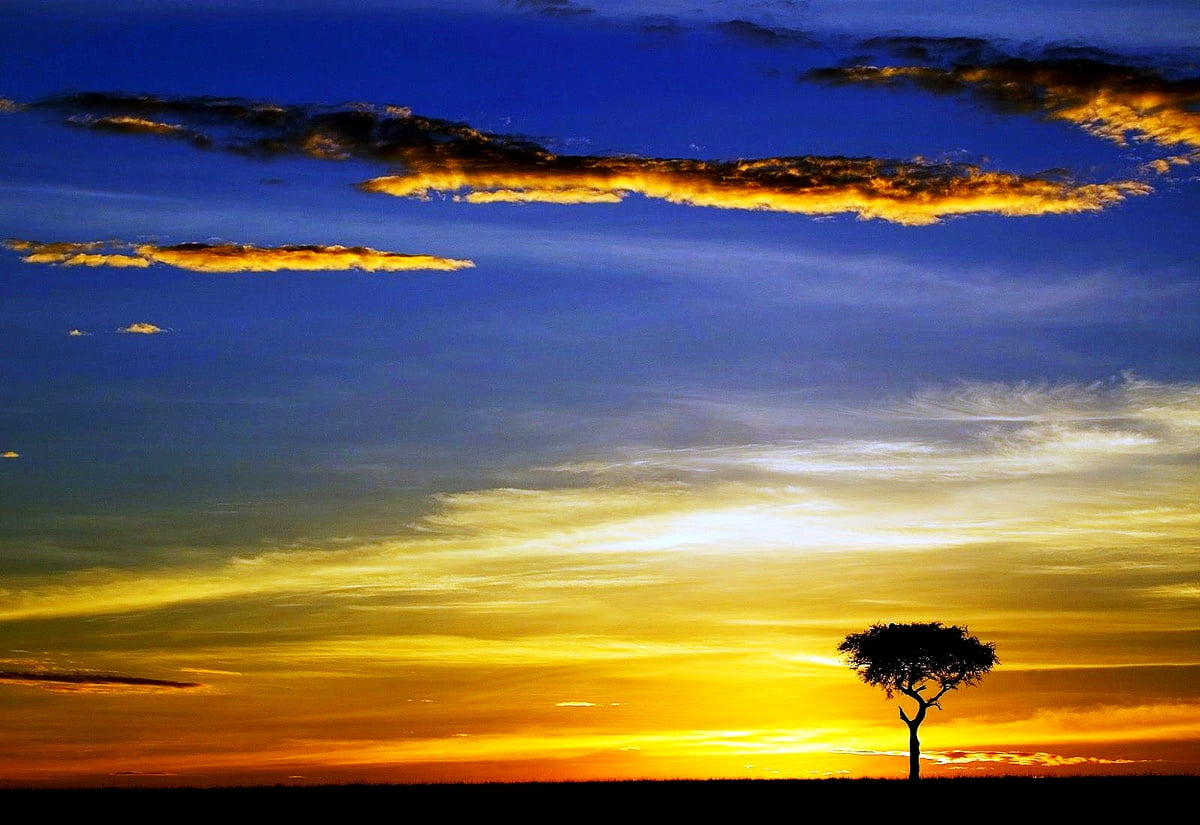 Africa Wallpapers