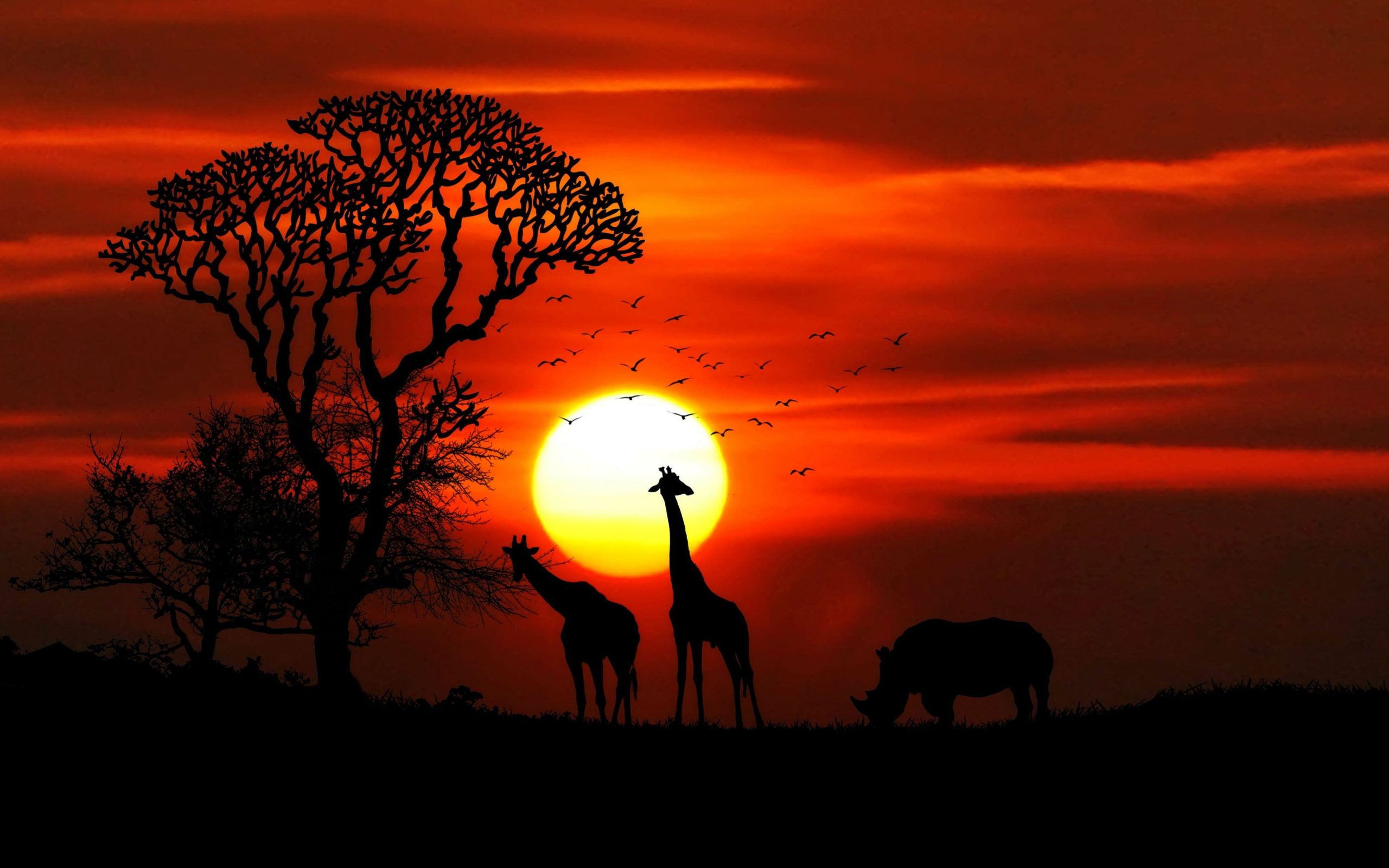 African Sunset Wallpapers