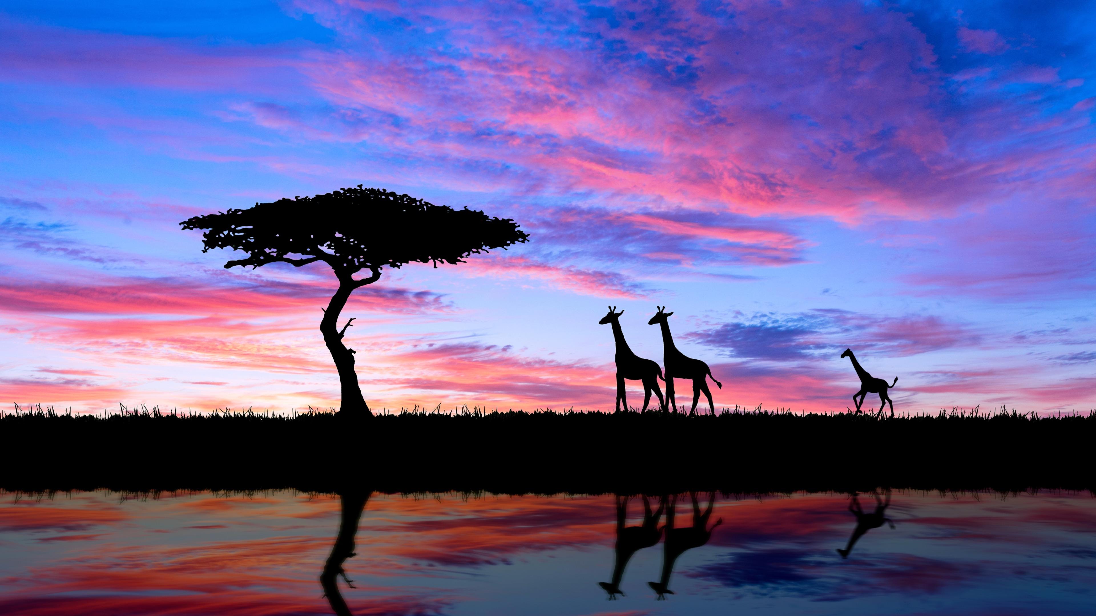 African Sunset Wallpapers