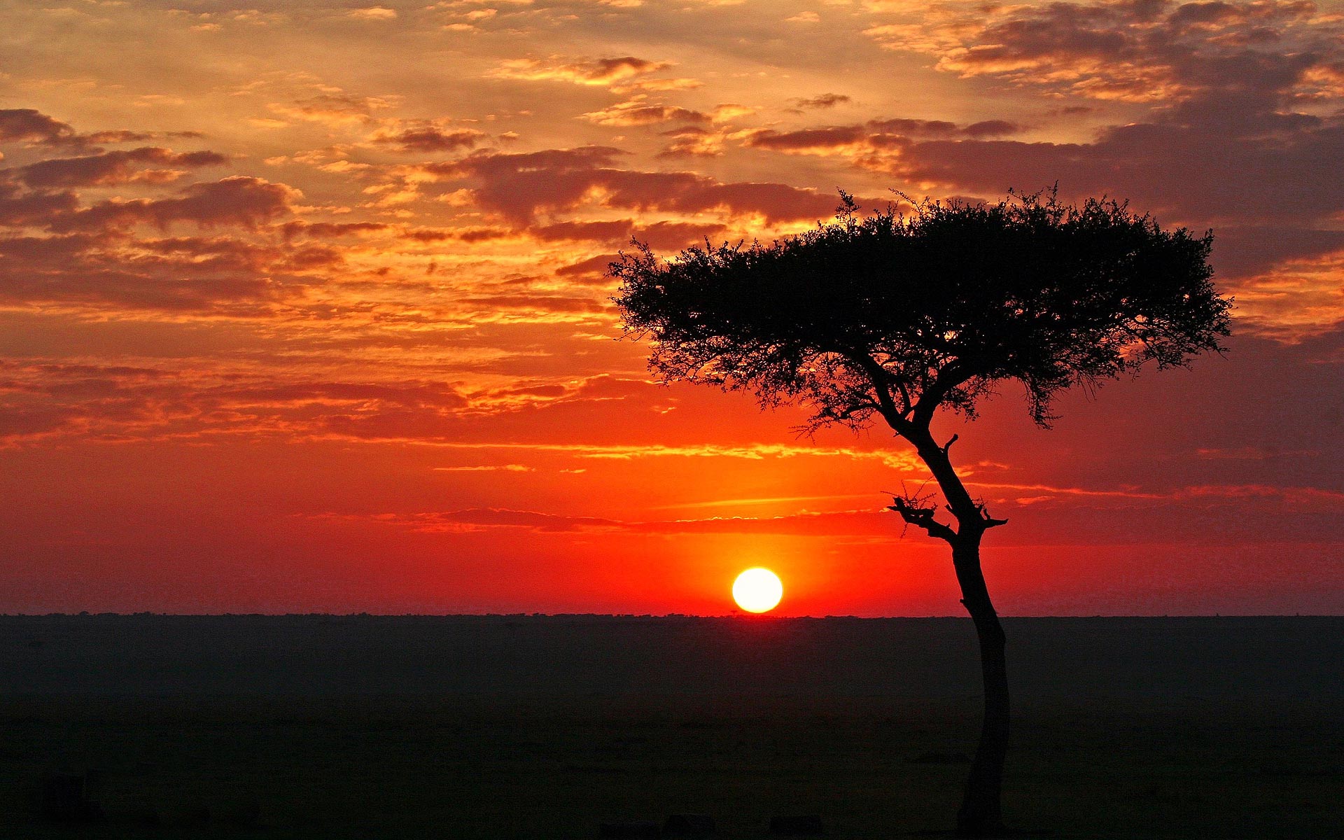 African Sunset Wallpapers