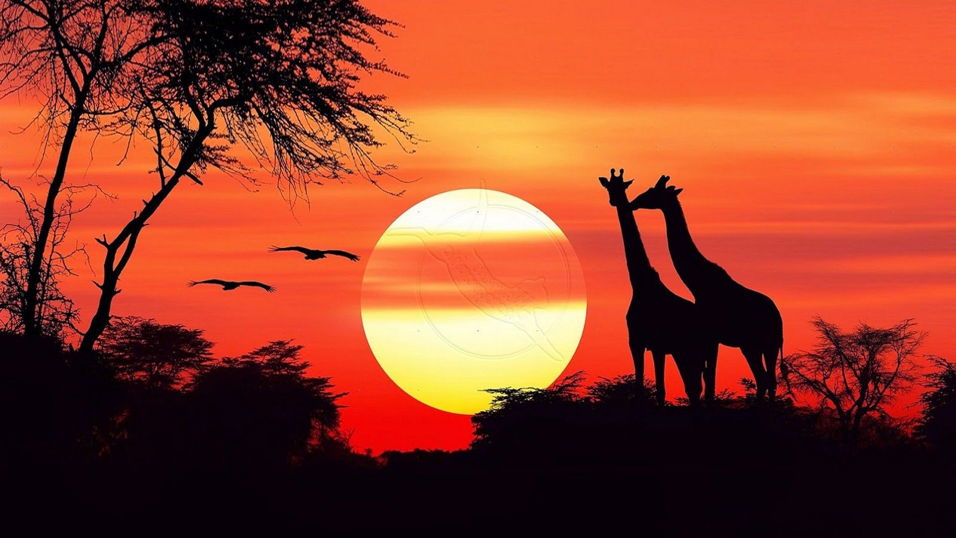 African Sunset Wallpapers