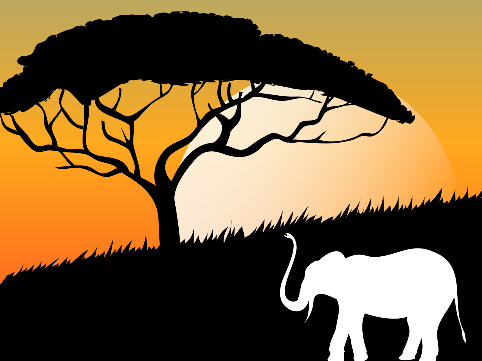 African Sunset Wallpapers