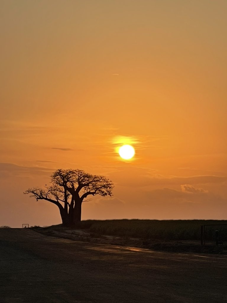 African Sunset Wallpapers