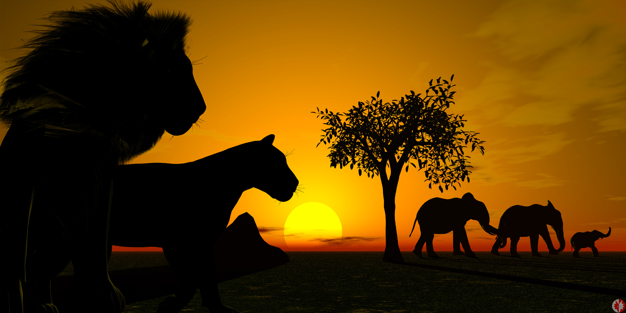 African Sunset Wallpapers