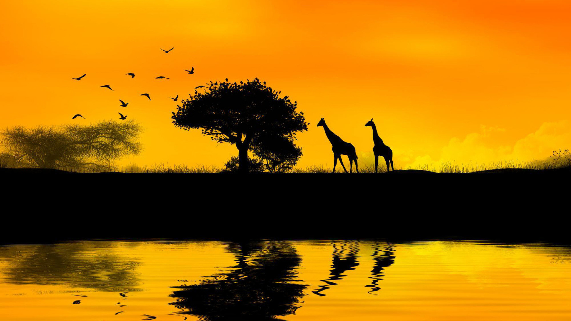 African Wallpapers