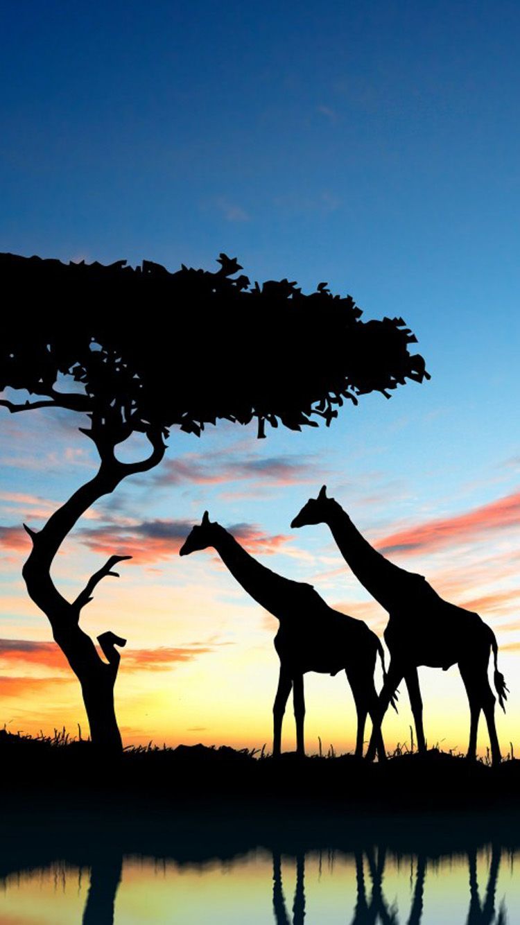 African Wallpapers