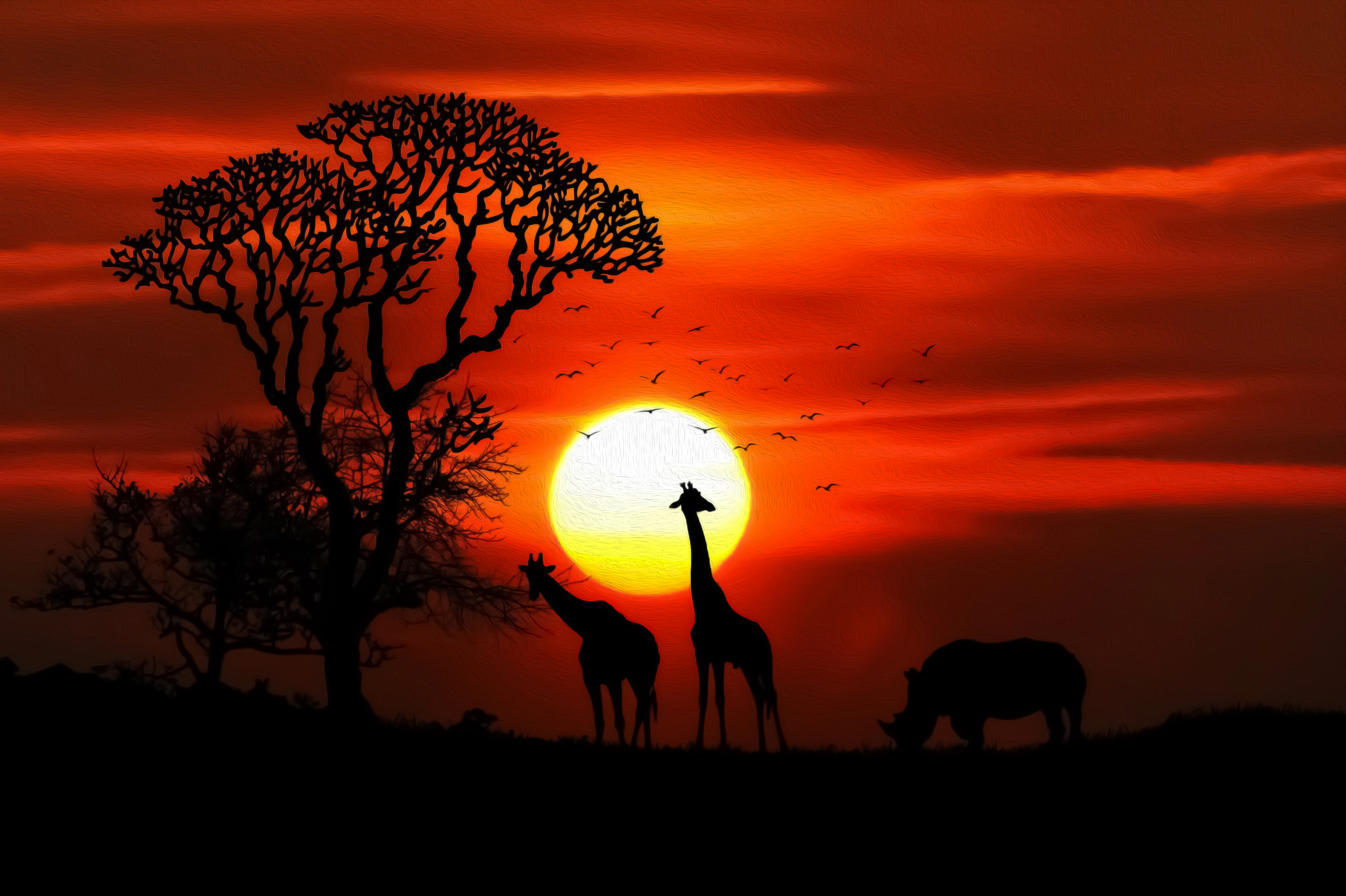 African Wallpapers