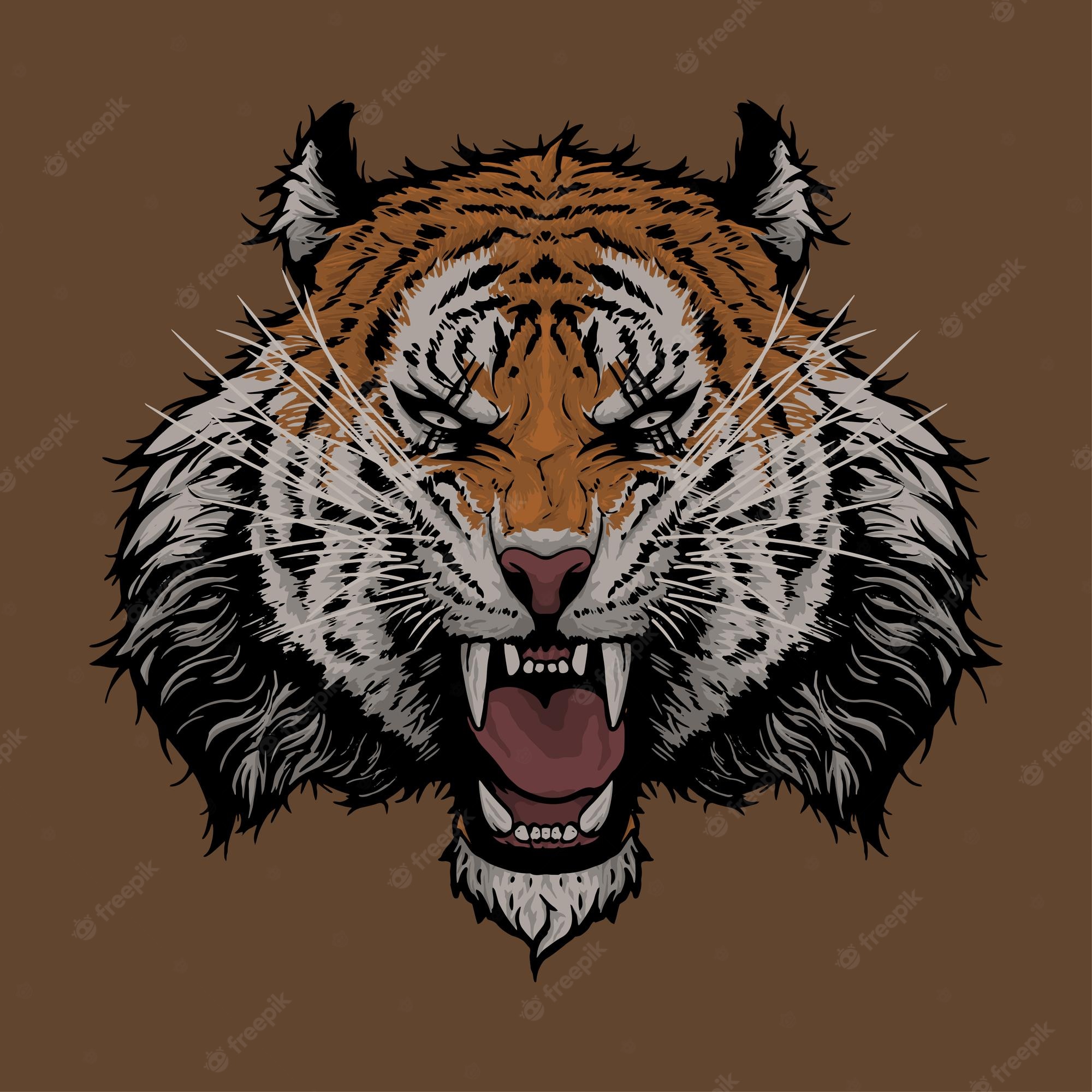 Aggressive Tiger Wallpapers