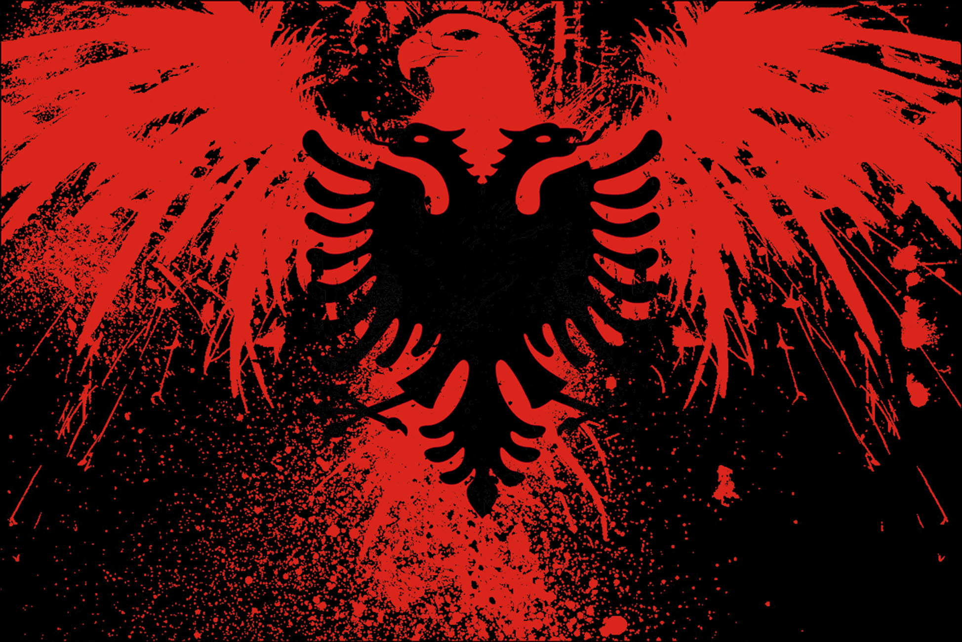 Albanian Eagle Wallpapers