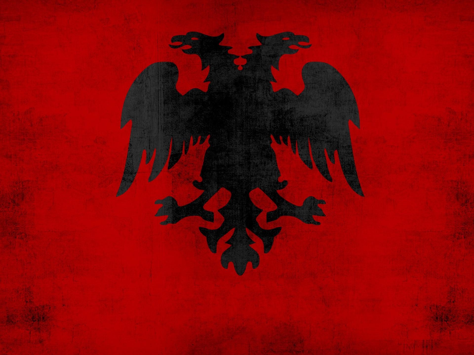 Albanian Eagle Wallpapers